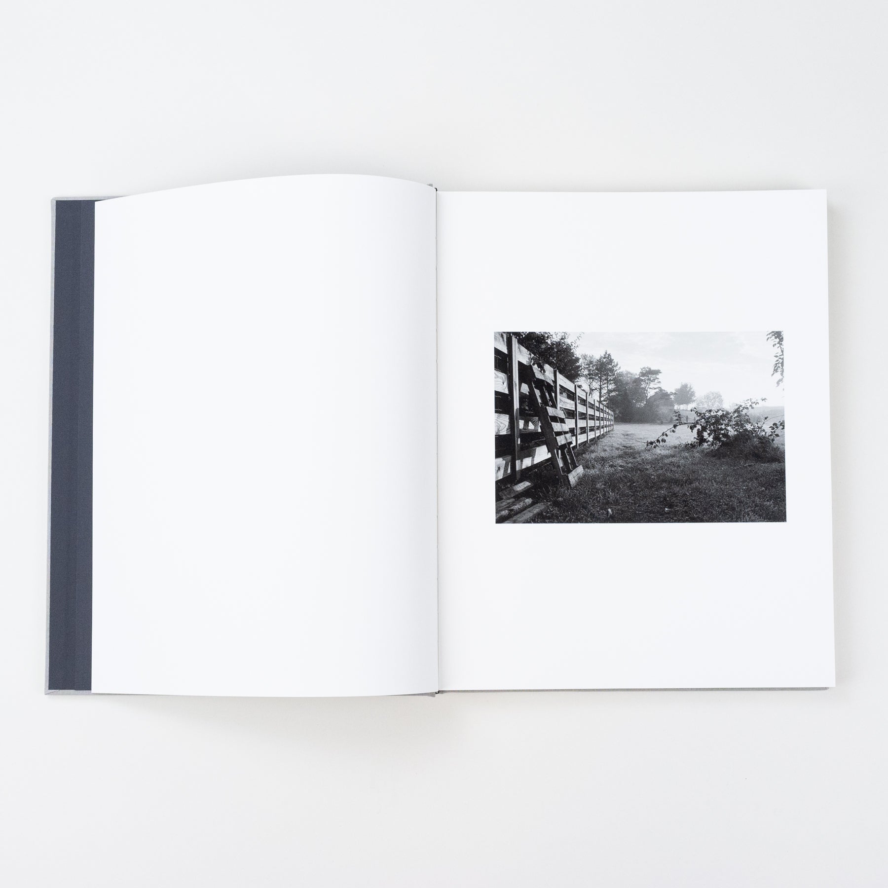 The Locusts Slipcase