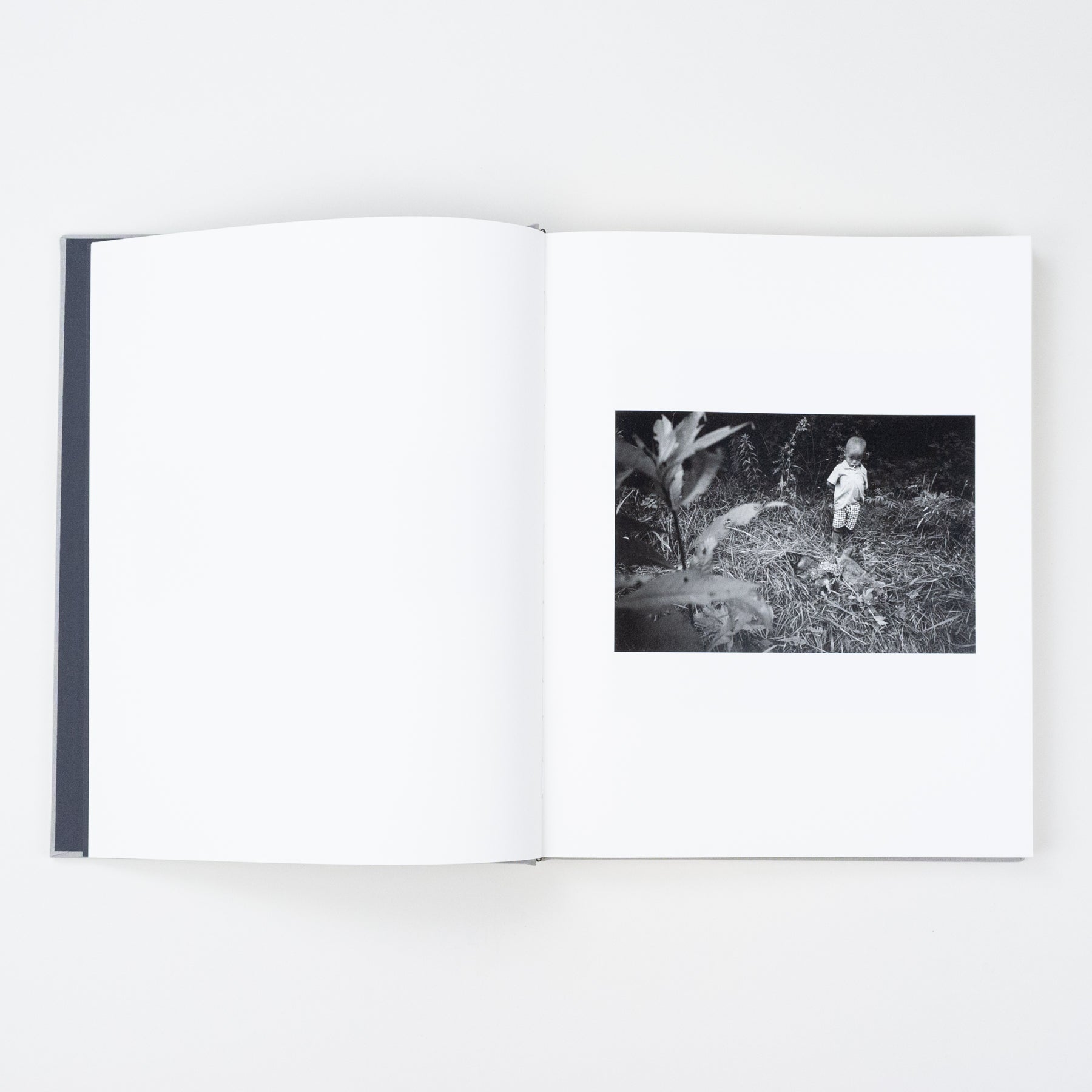 The Locusts Slipcase