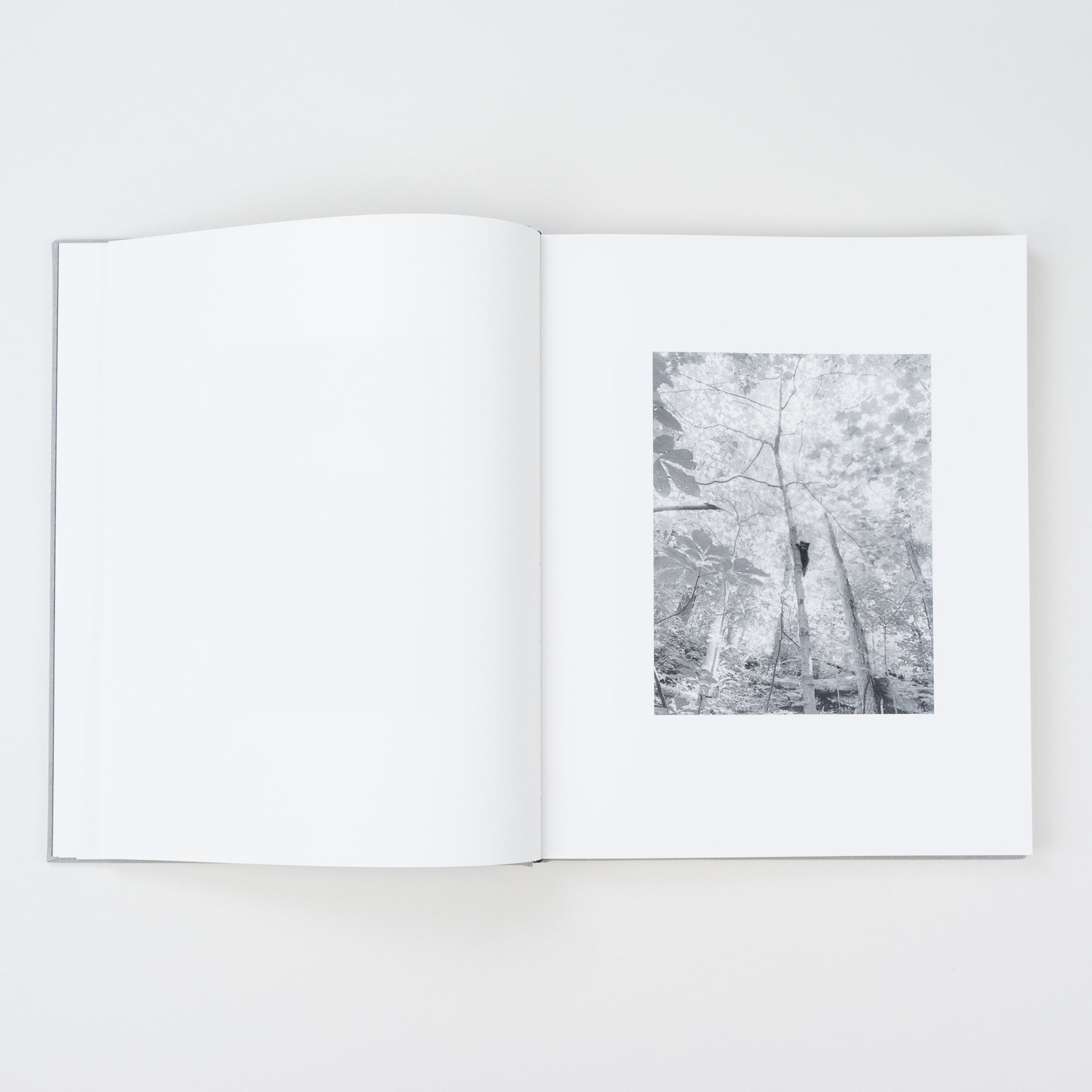 The Locusts Slipcase