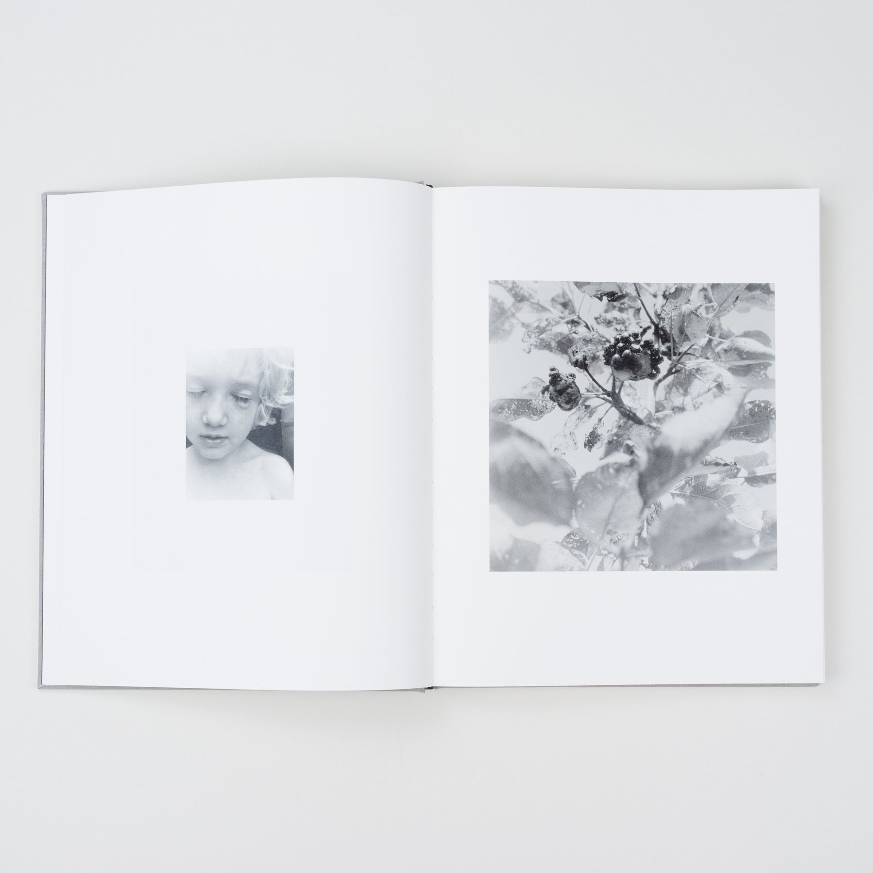 The Locusts Slipcase