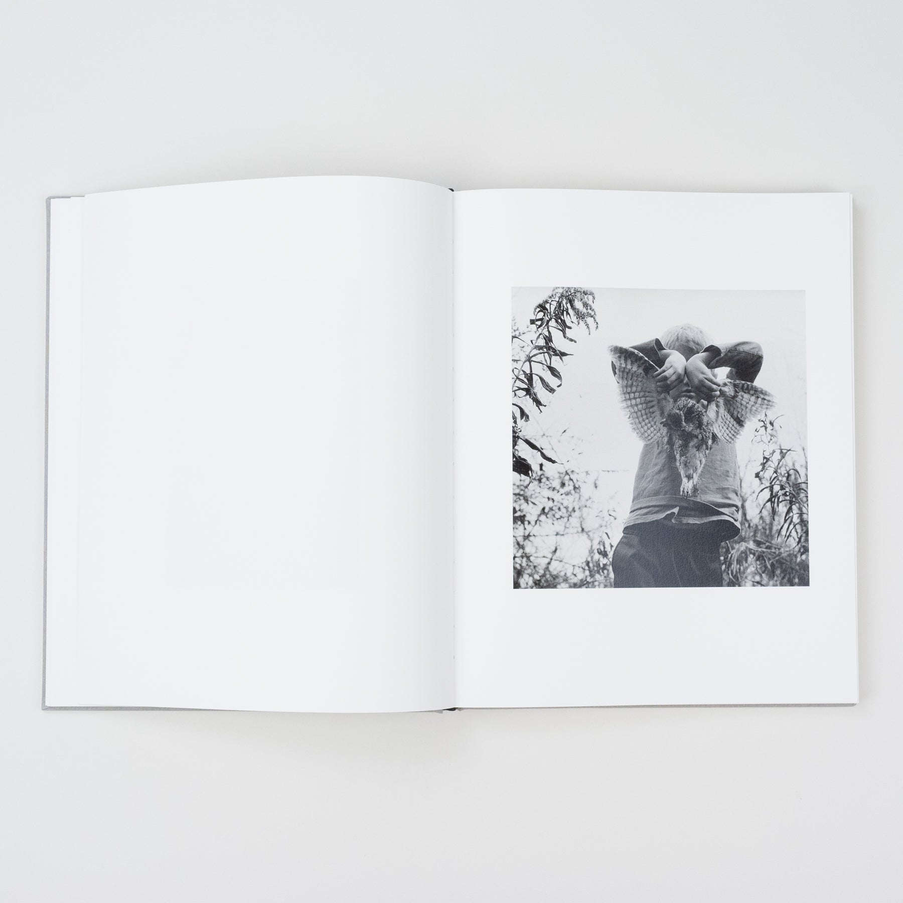 The Locusts Slipcase