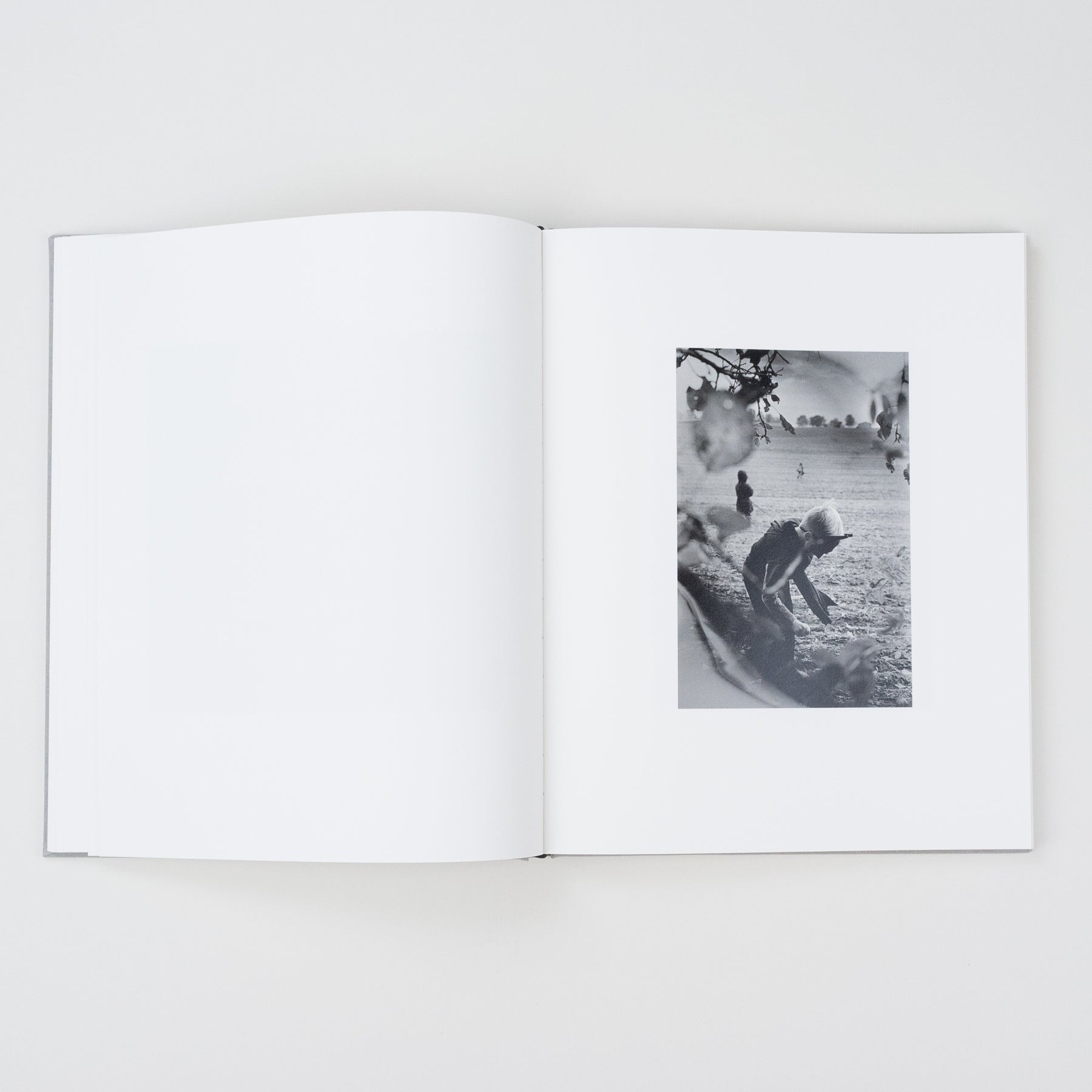 The Locusts Slipcase