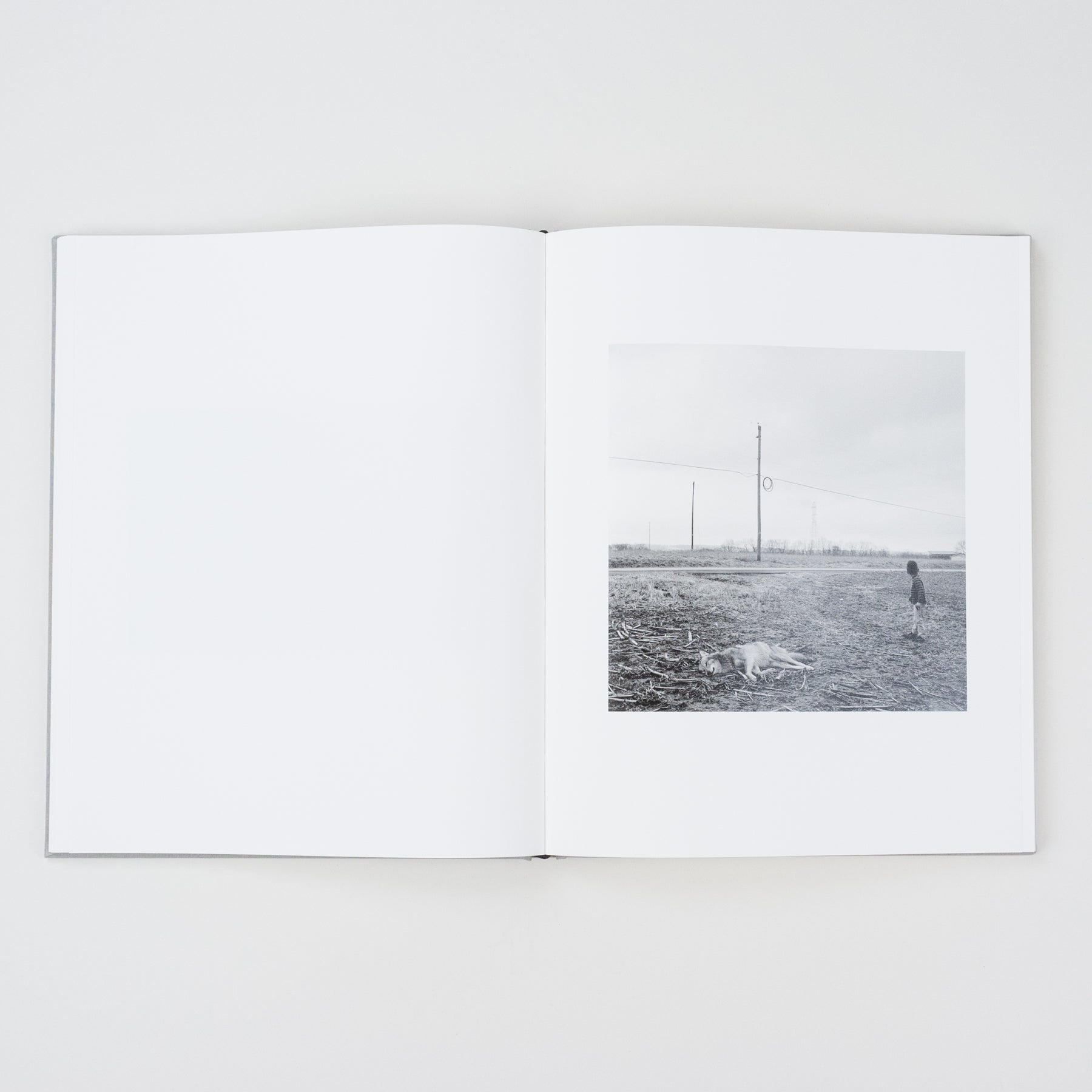 The Locusts Slipcase