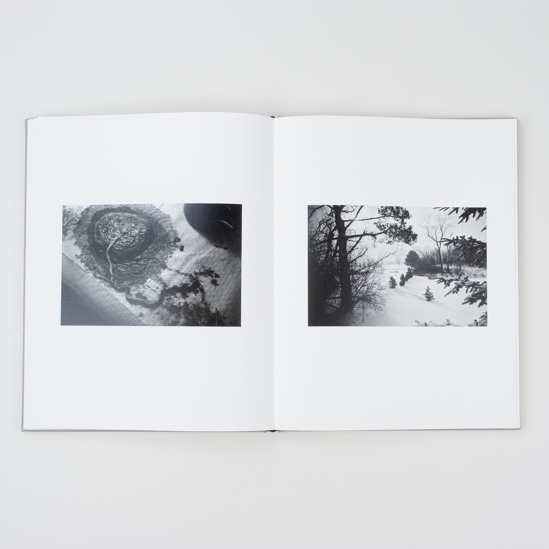 The Locusts Slipcase