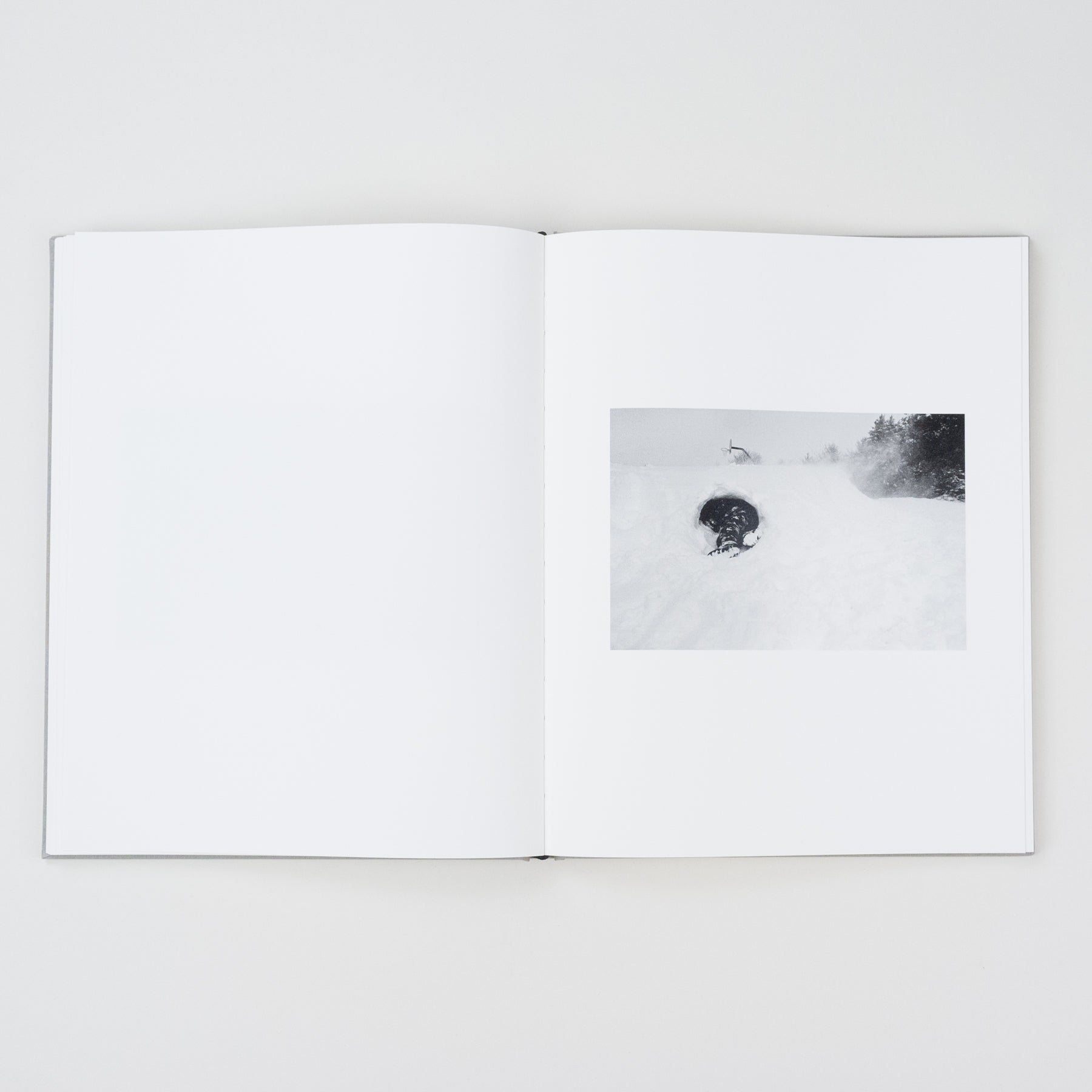 The Locusts Slipcase