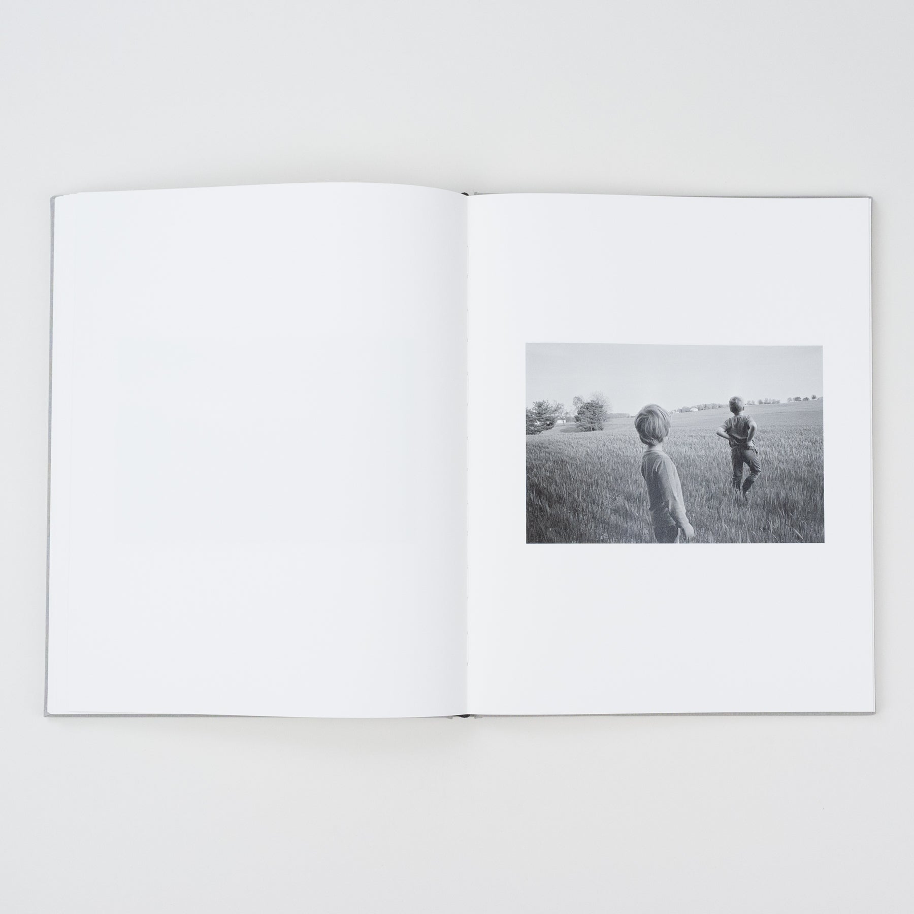 The Locusts Slipcase