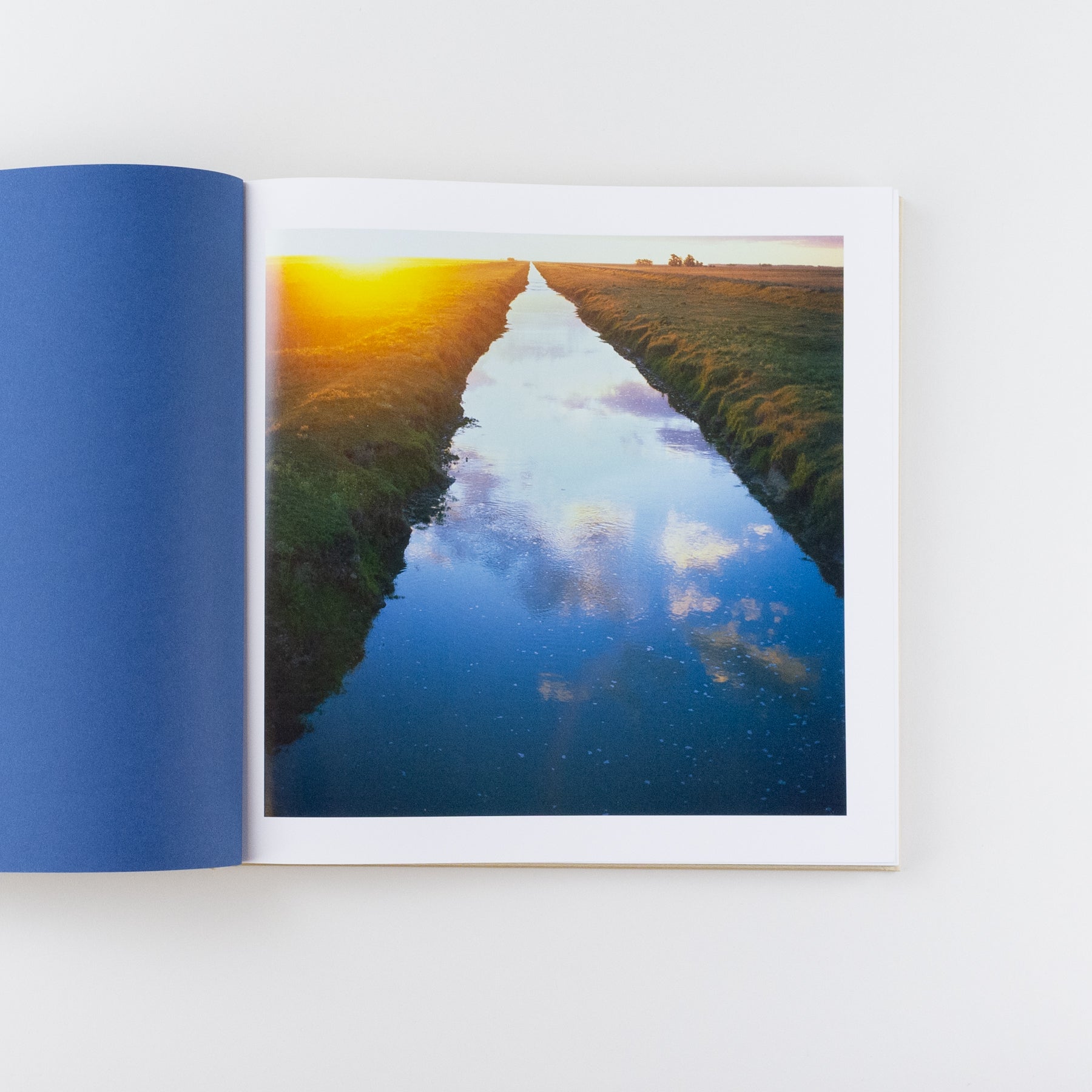 The Adventures of Guille and Belinda and the Illusion of An Everlasting Summer