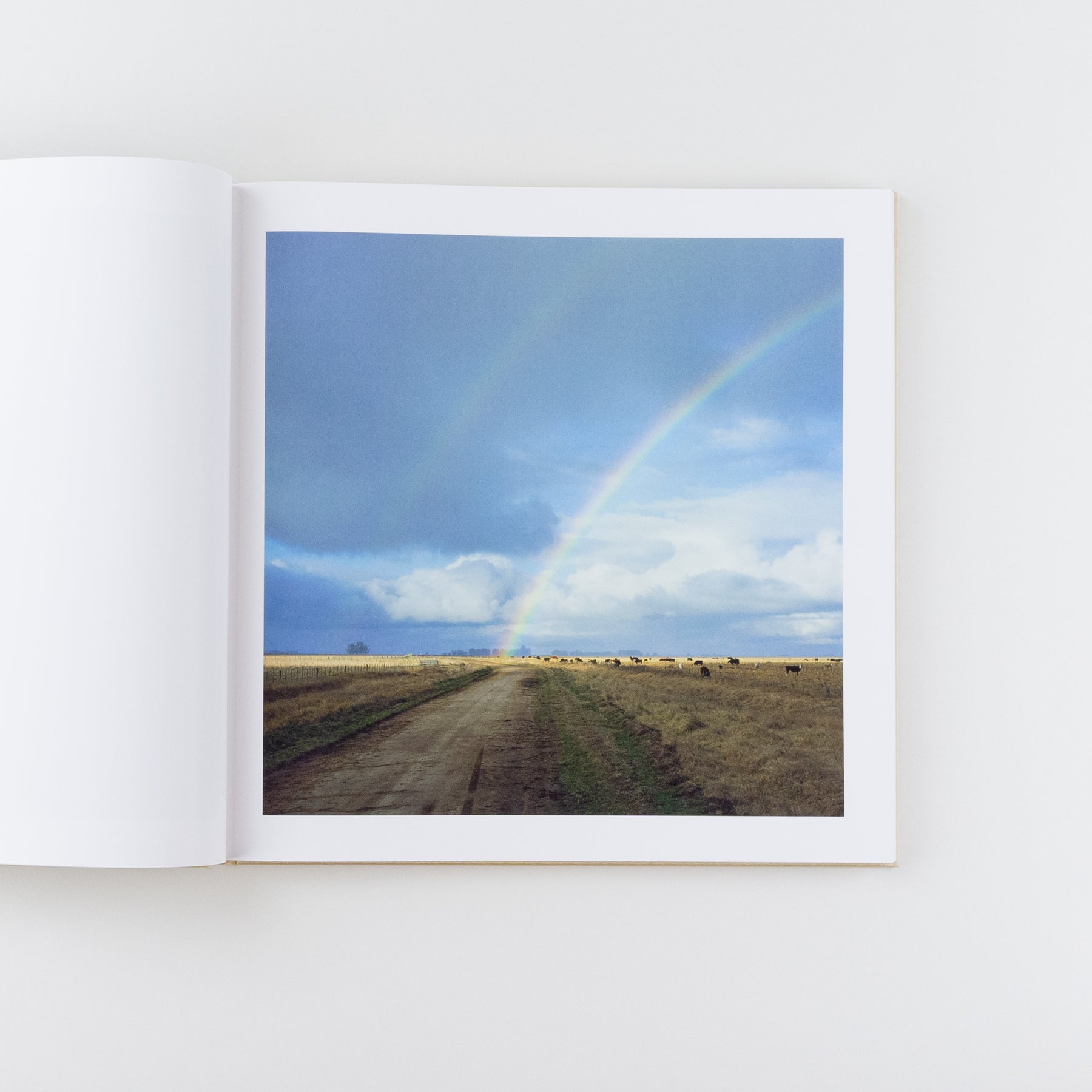 The Adventures of Guille and Belinda and the Illusion of An Everlasting Summer