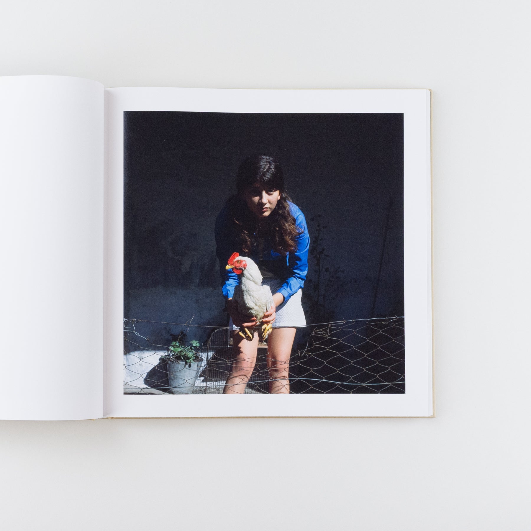 The Adventures of Guille and Belinda and the Illusion of An Everlasting Summer