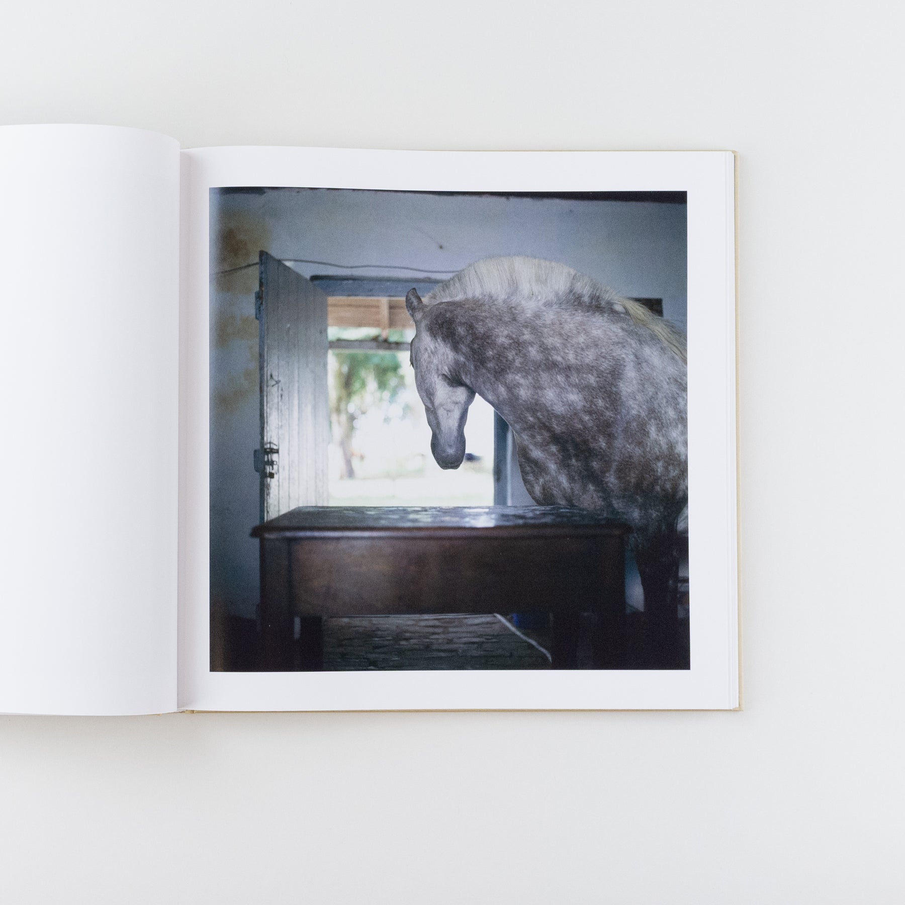 The Adventures of Guille and Belinda and the Illusion of An Everlasting Summer