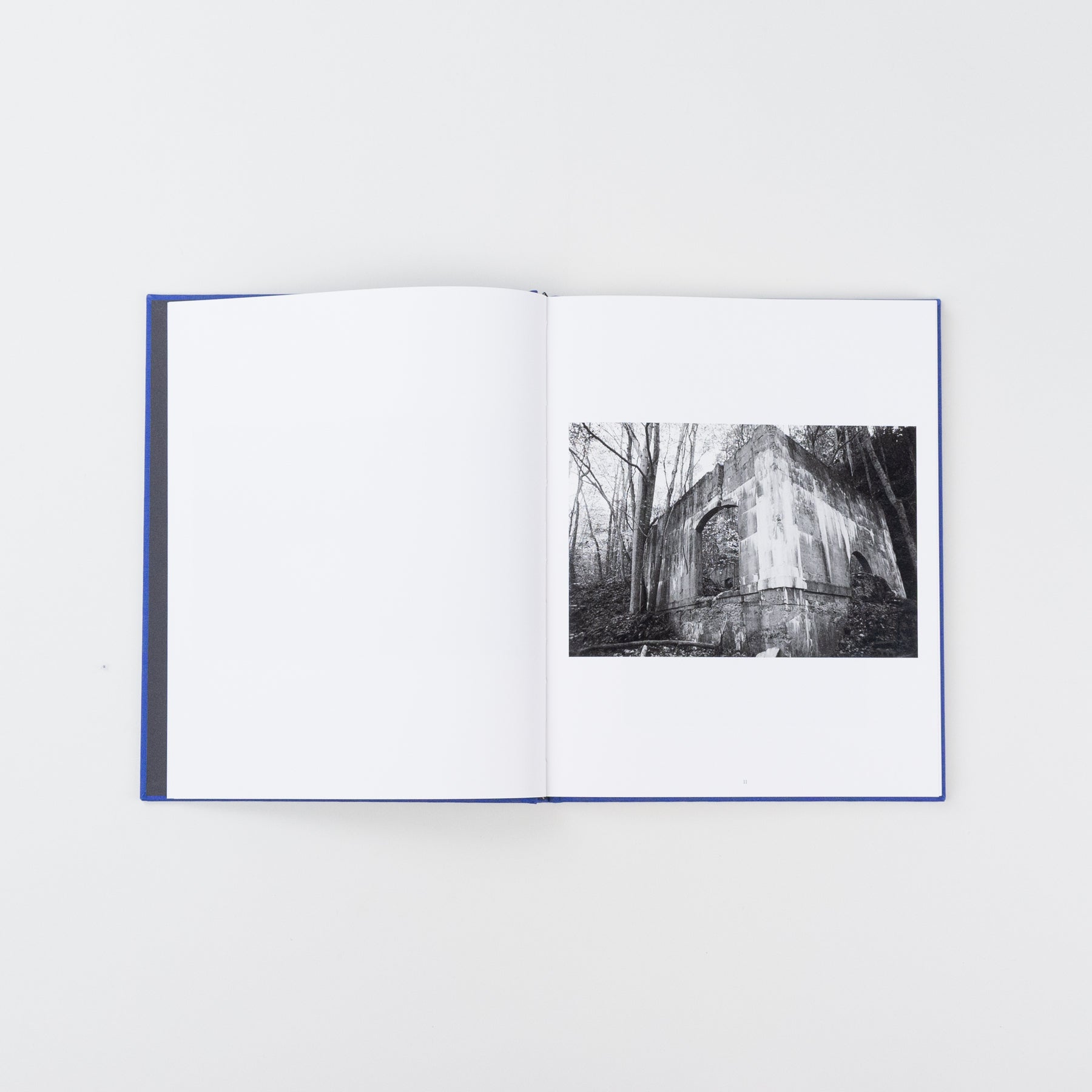 We Love Where We Live