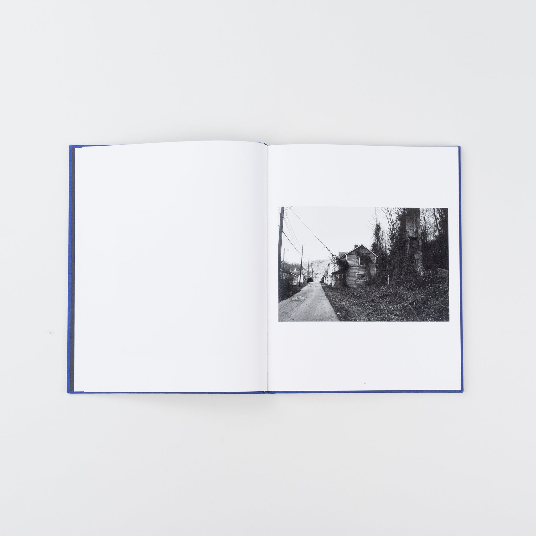 We Love Where We Live