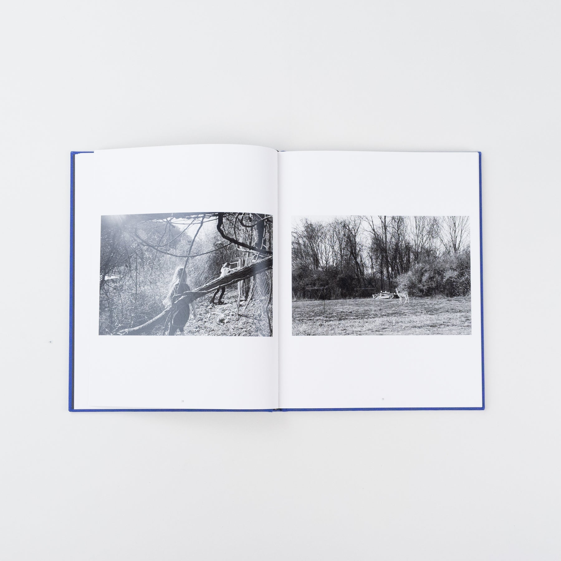 We Love Where We Live