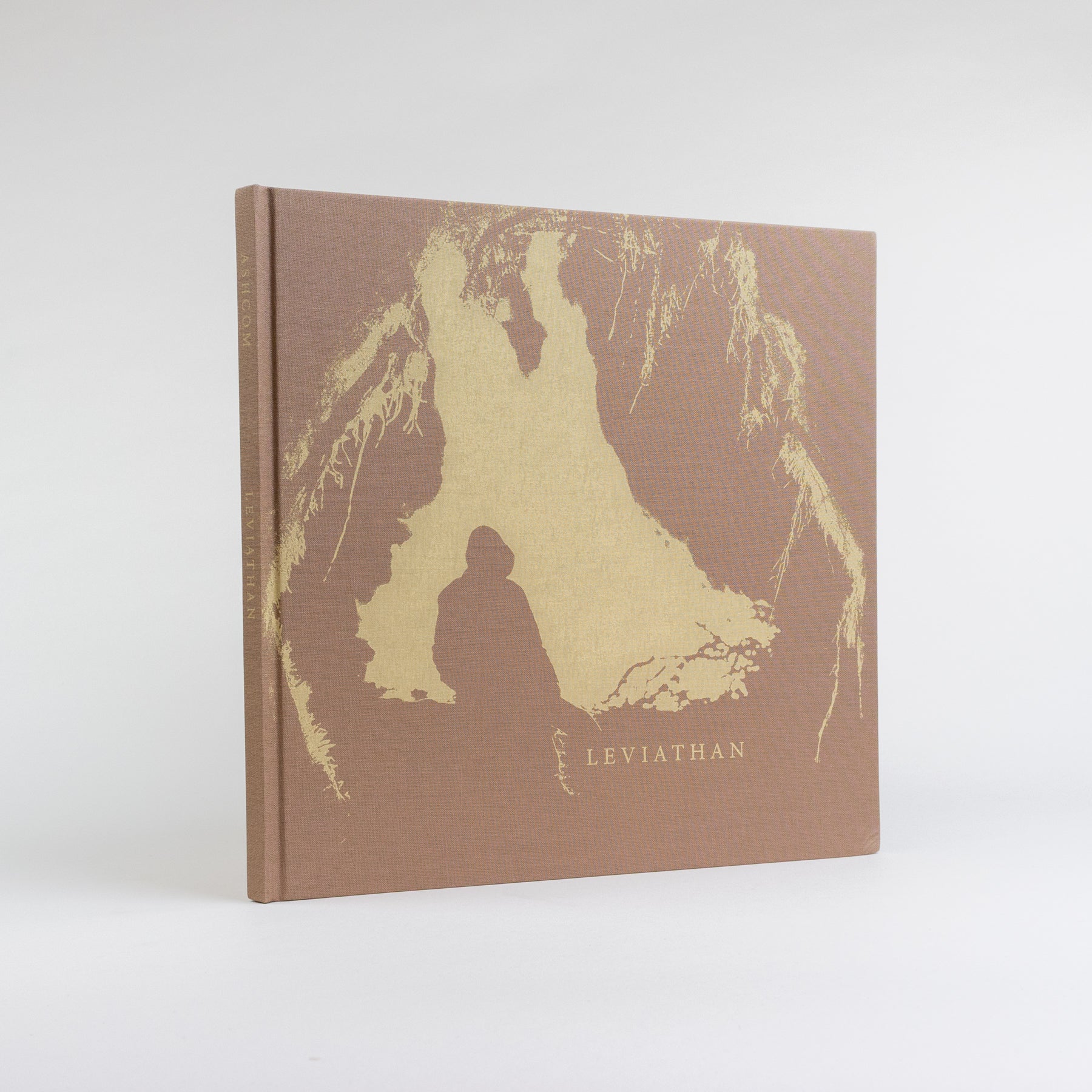 Leviathan