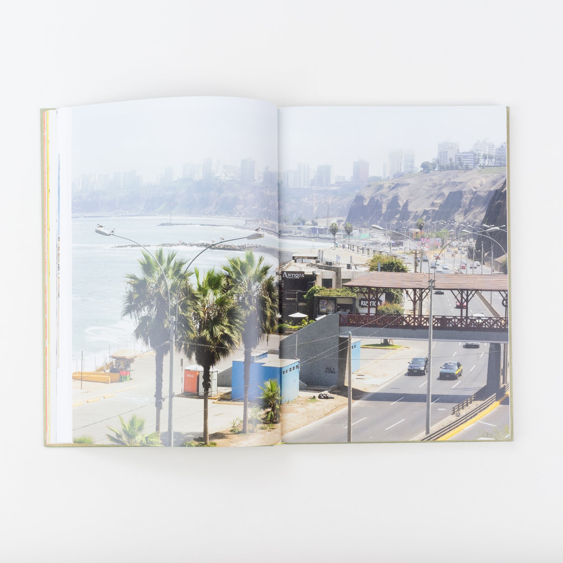 The Canary and The Hammer