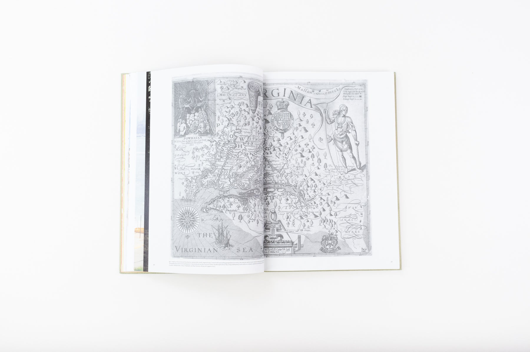 The Canary and The Hammer