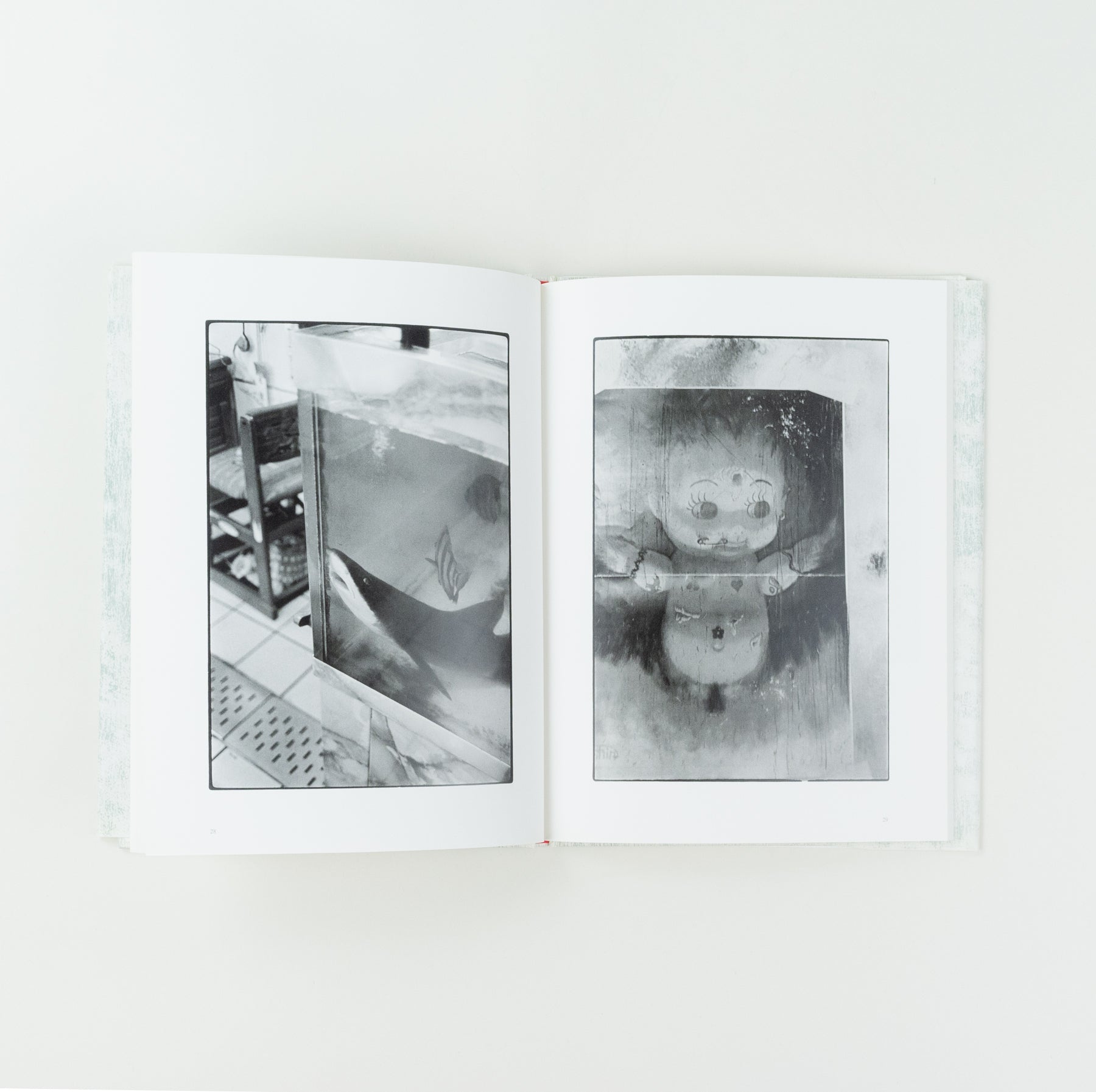 Saboten to Shippo (Cactus and Tail)