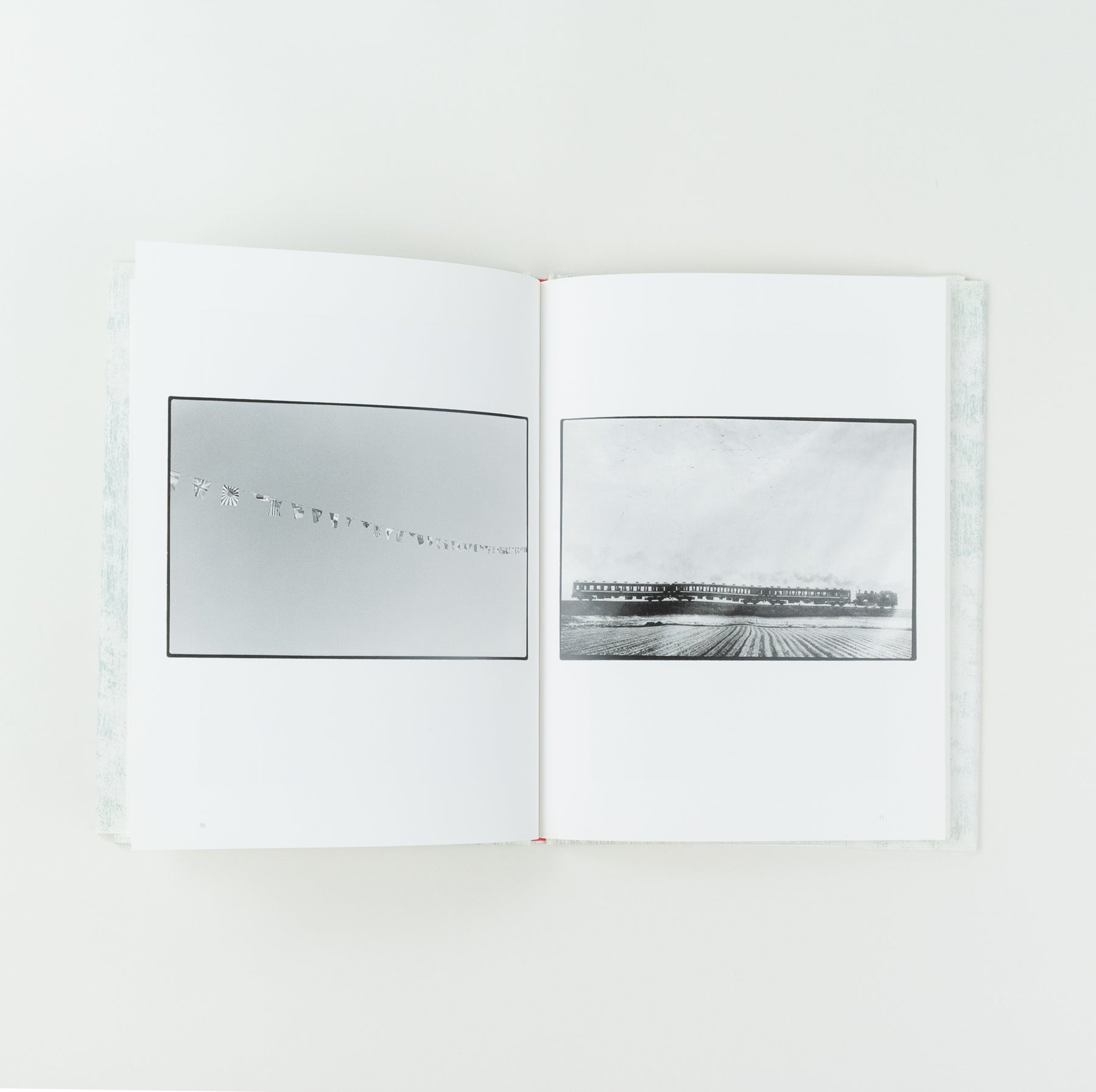 Saboten to Shippo (Cactus and Tail)