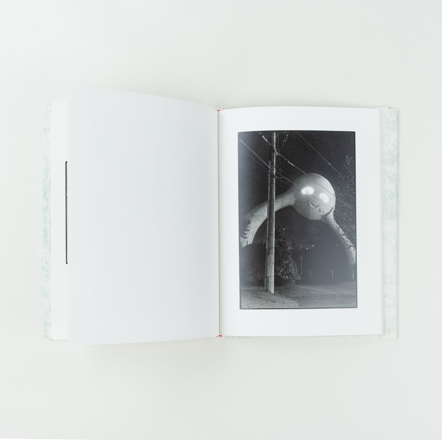 Saboten to Shippo (Cactus and Tail)