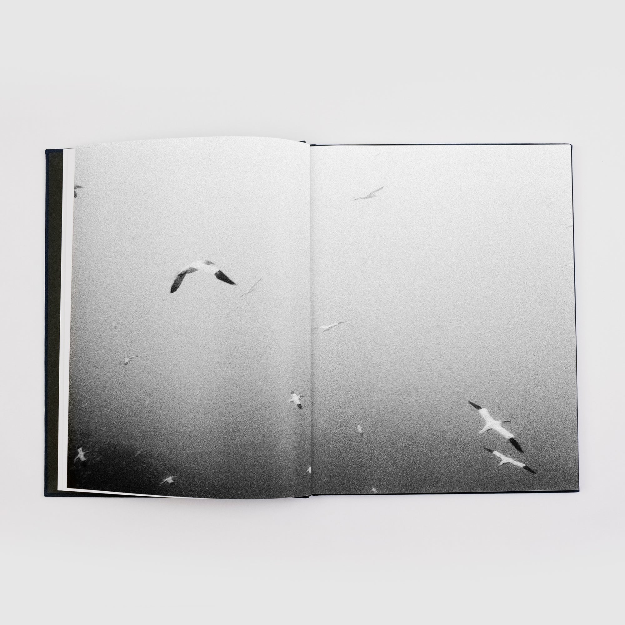 Echo Mask - Charcoal Book Club