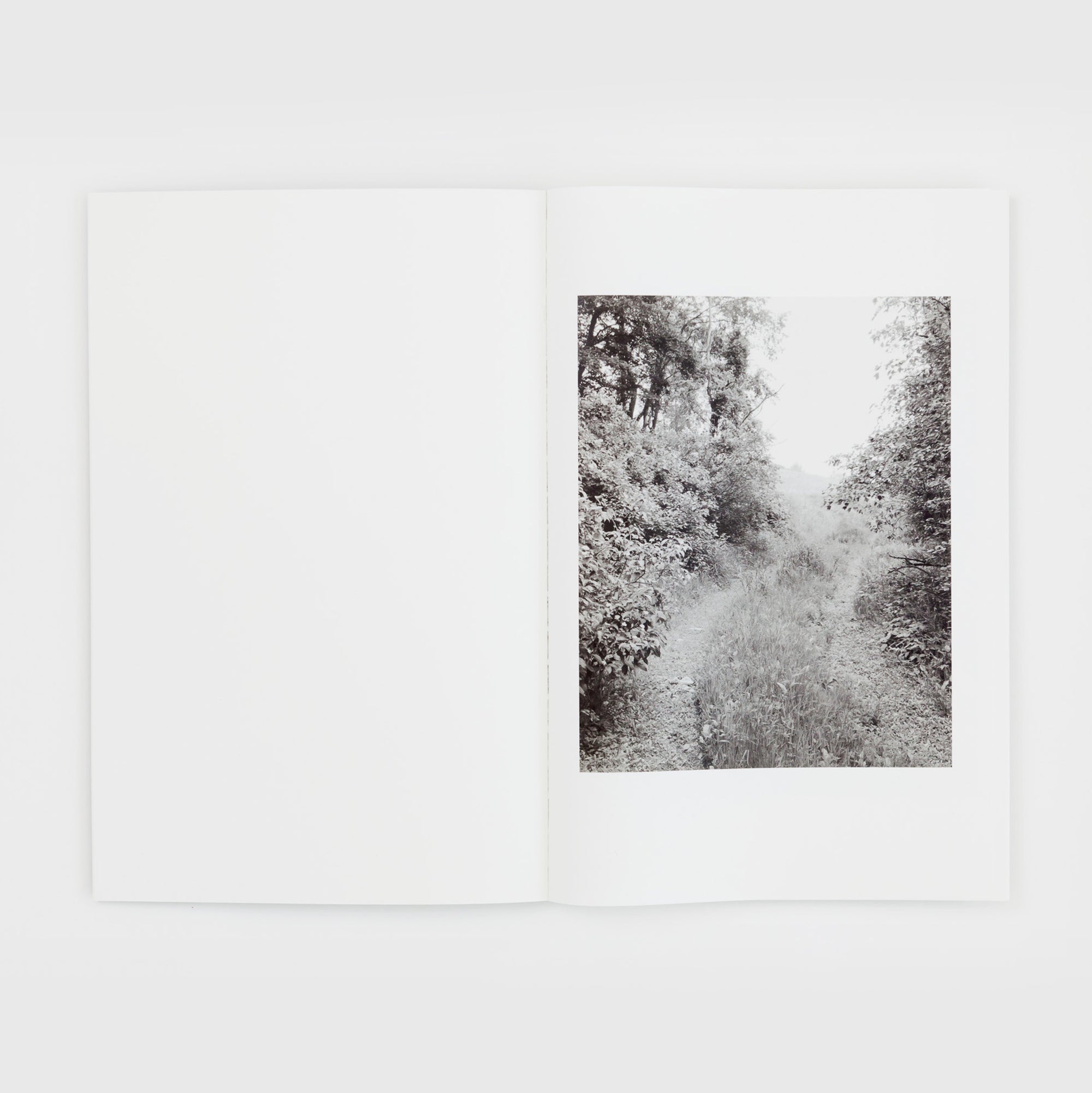 Entrance to Our Valley