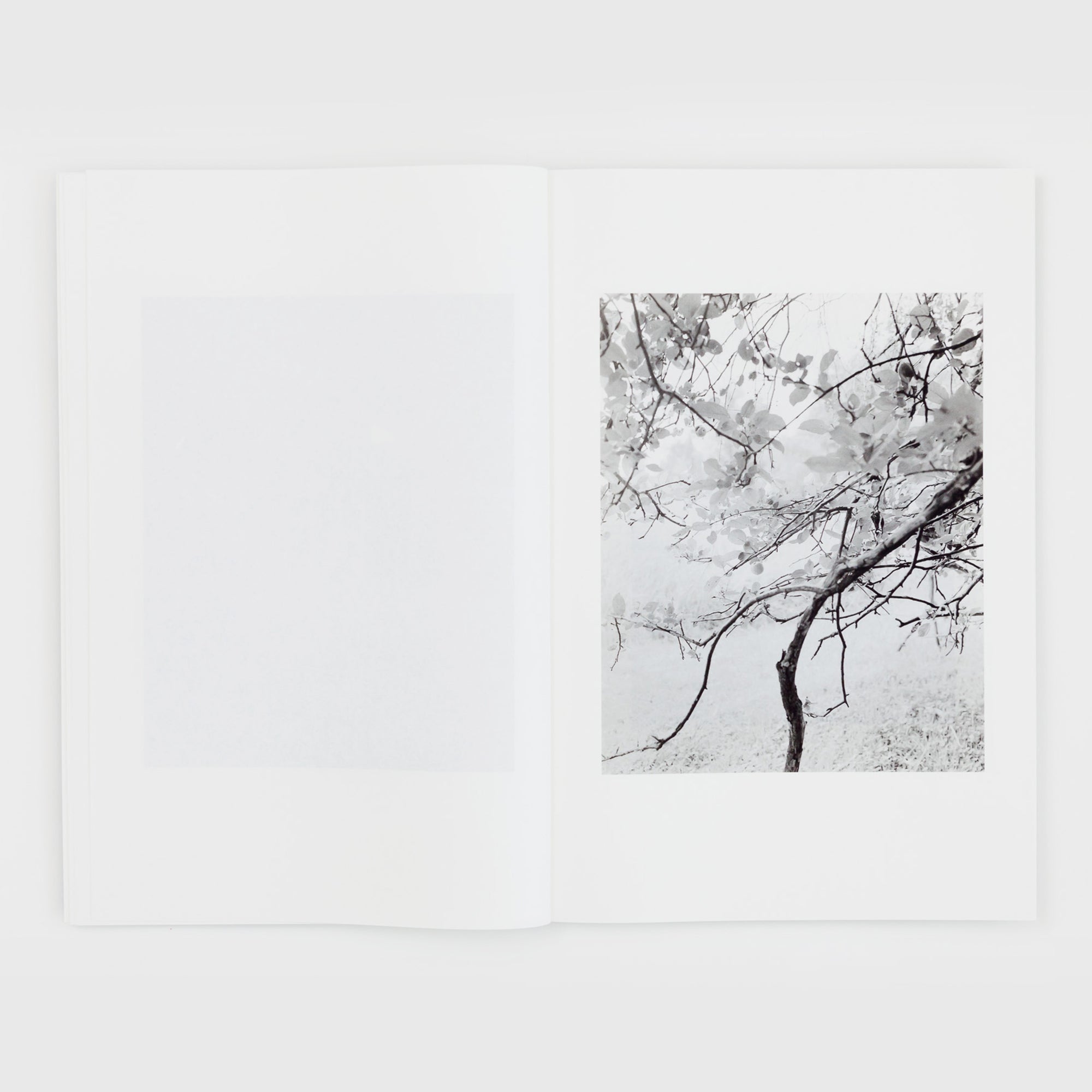 Entrance to Our Valley