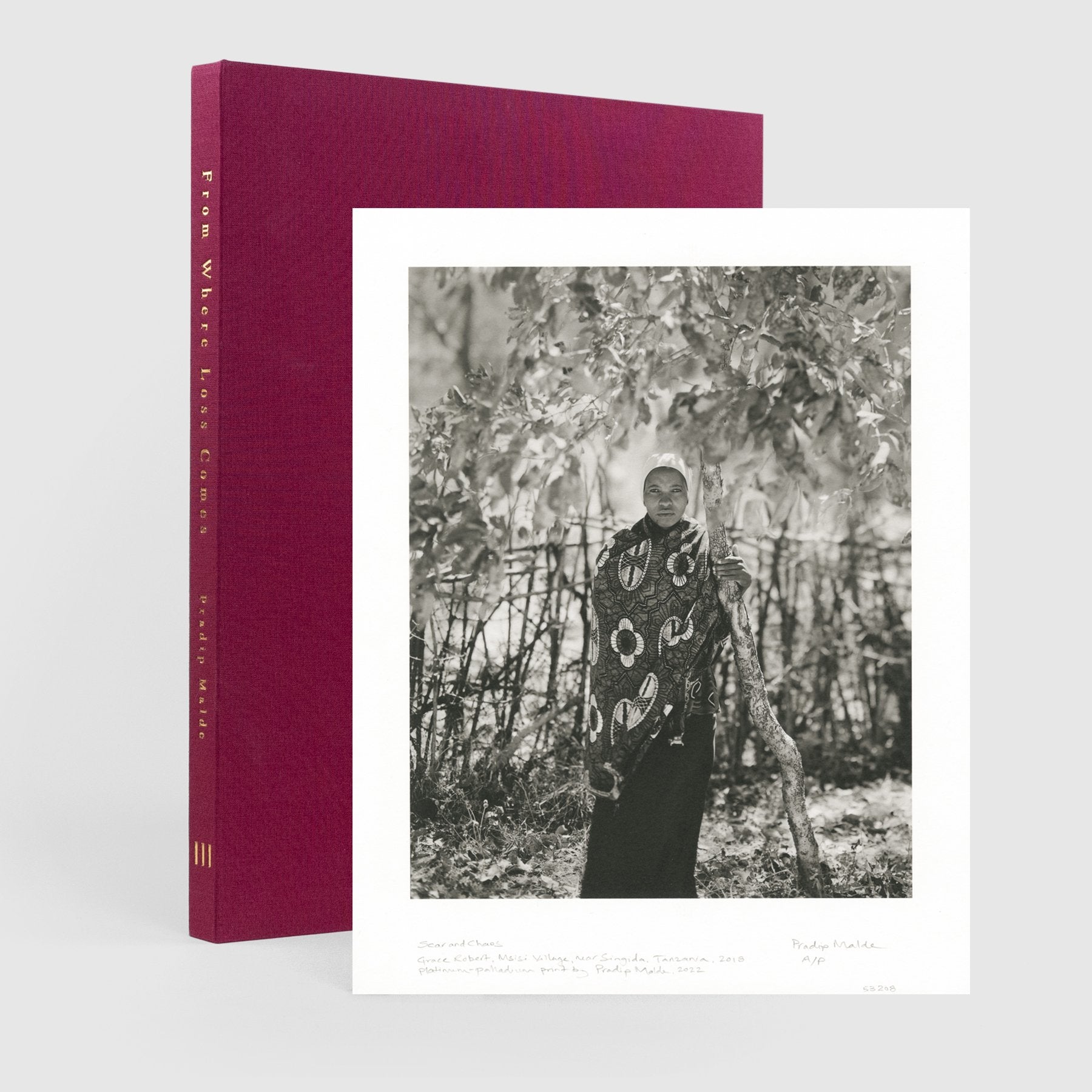 From Where Loss Comes Special Edition