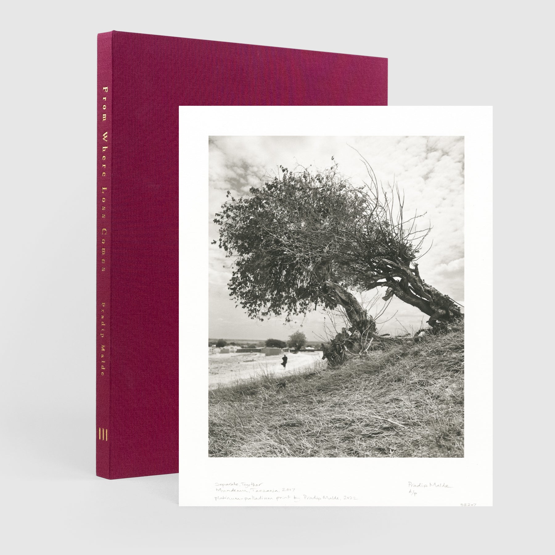 From Where Loss Comes Special Edition