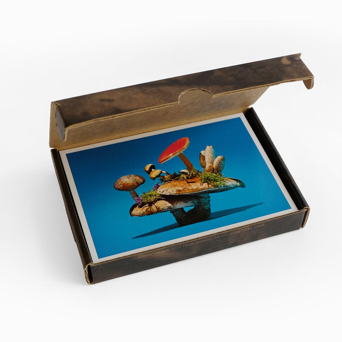 John Cage: A Mycological Foray