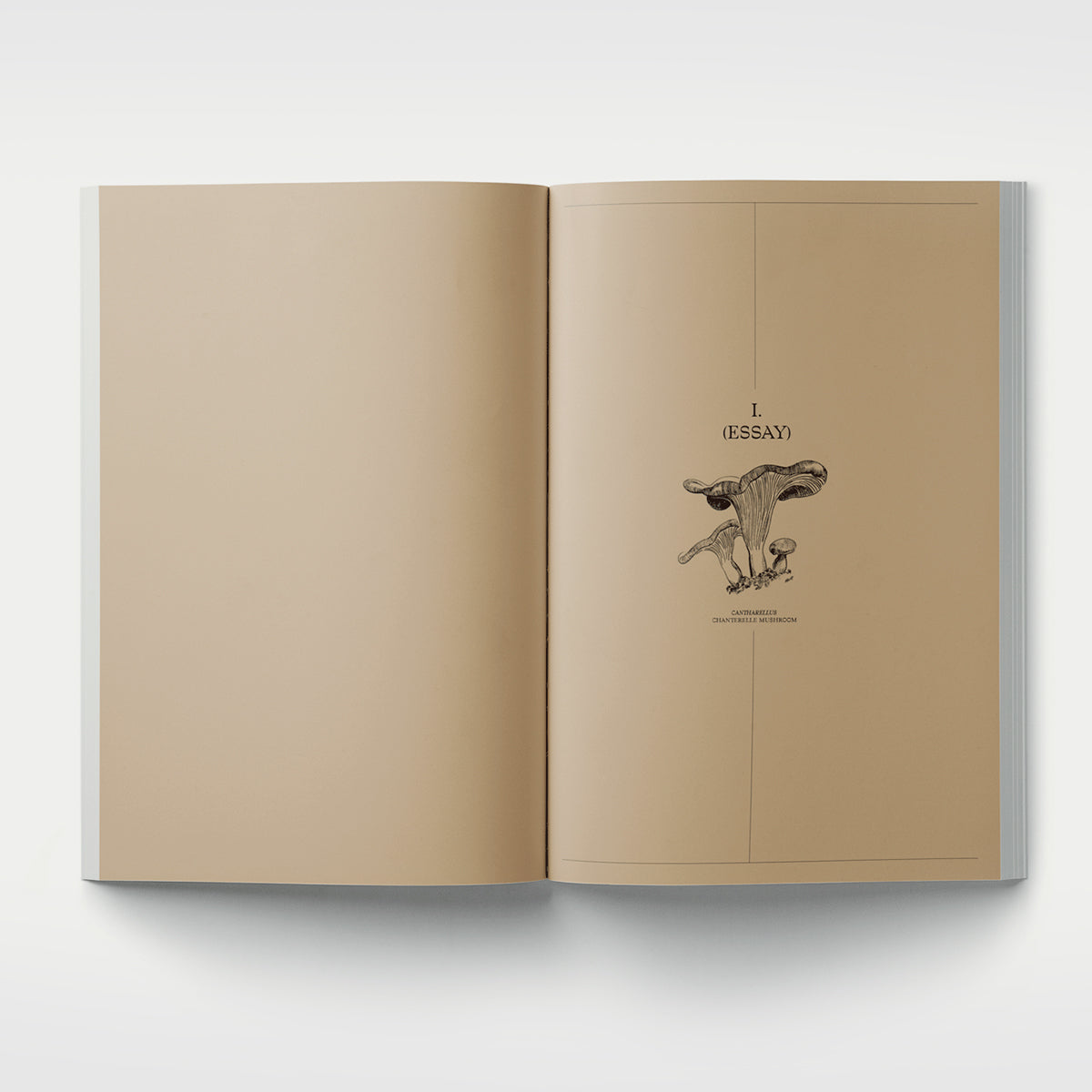 John Cage: A Mycological Foray