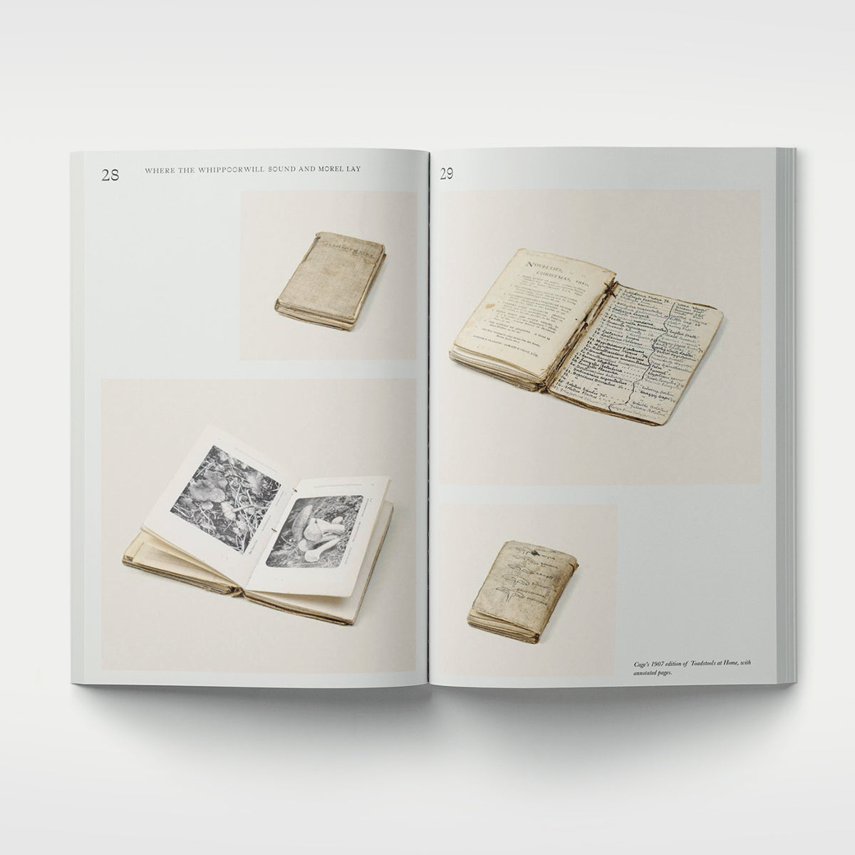 John Cage: A Mycological Foray