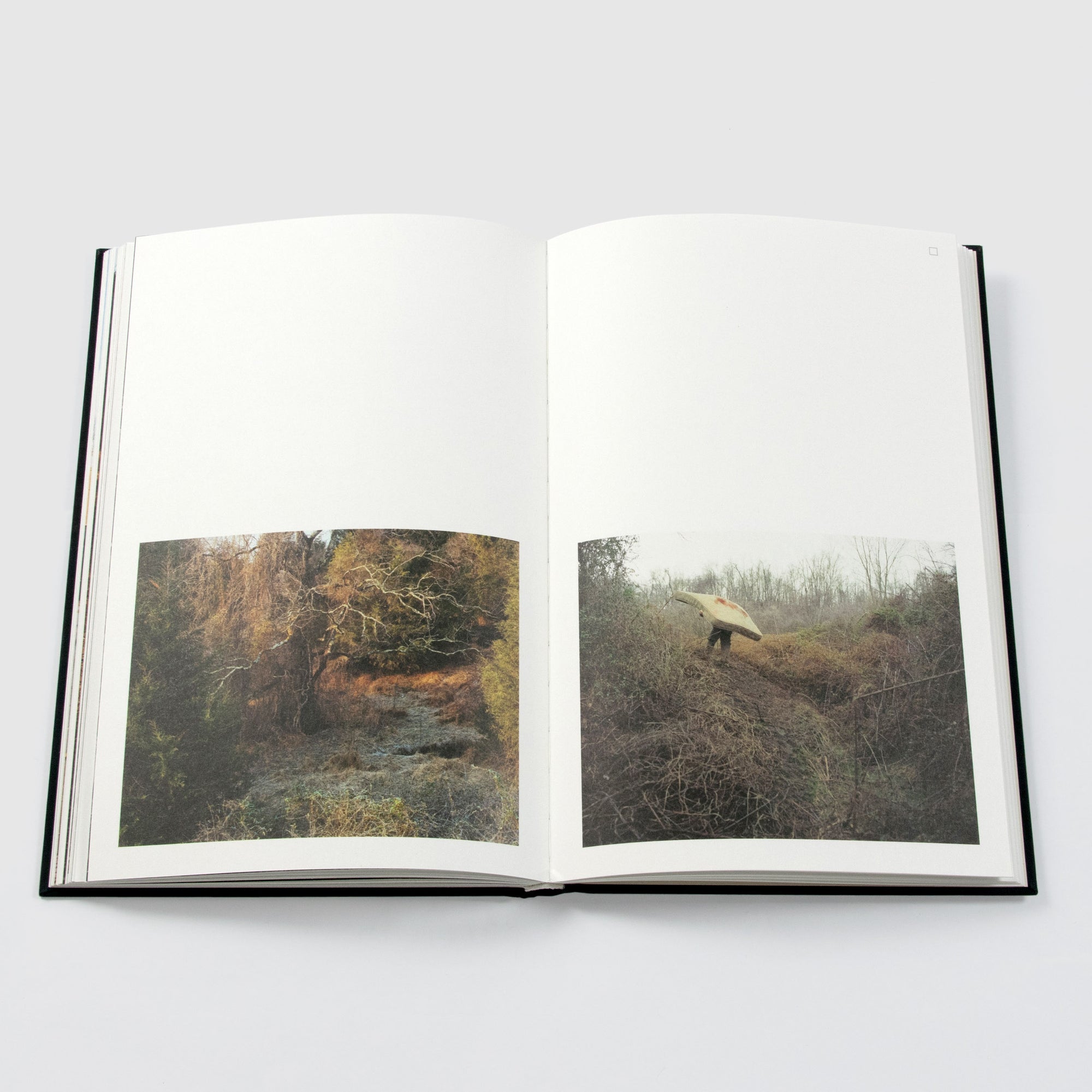 What the Living Carry