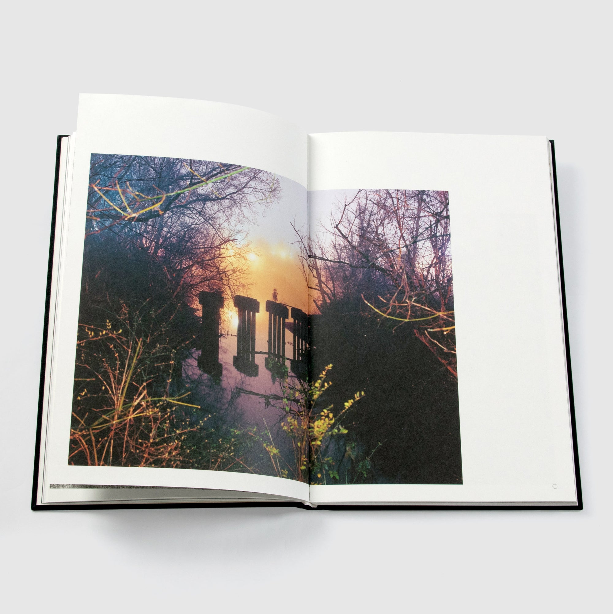 What the Living Carry