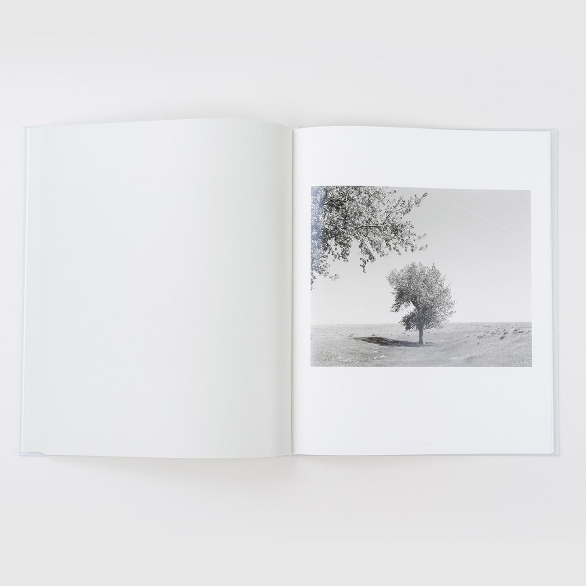 Perfect Places, Perfect Company