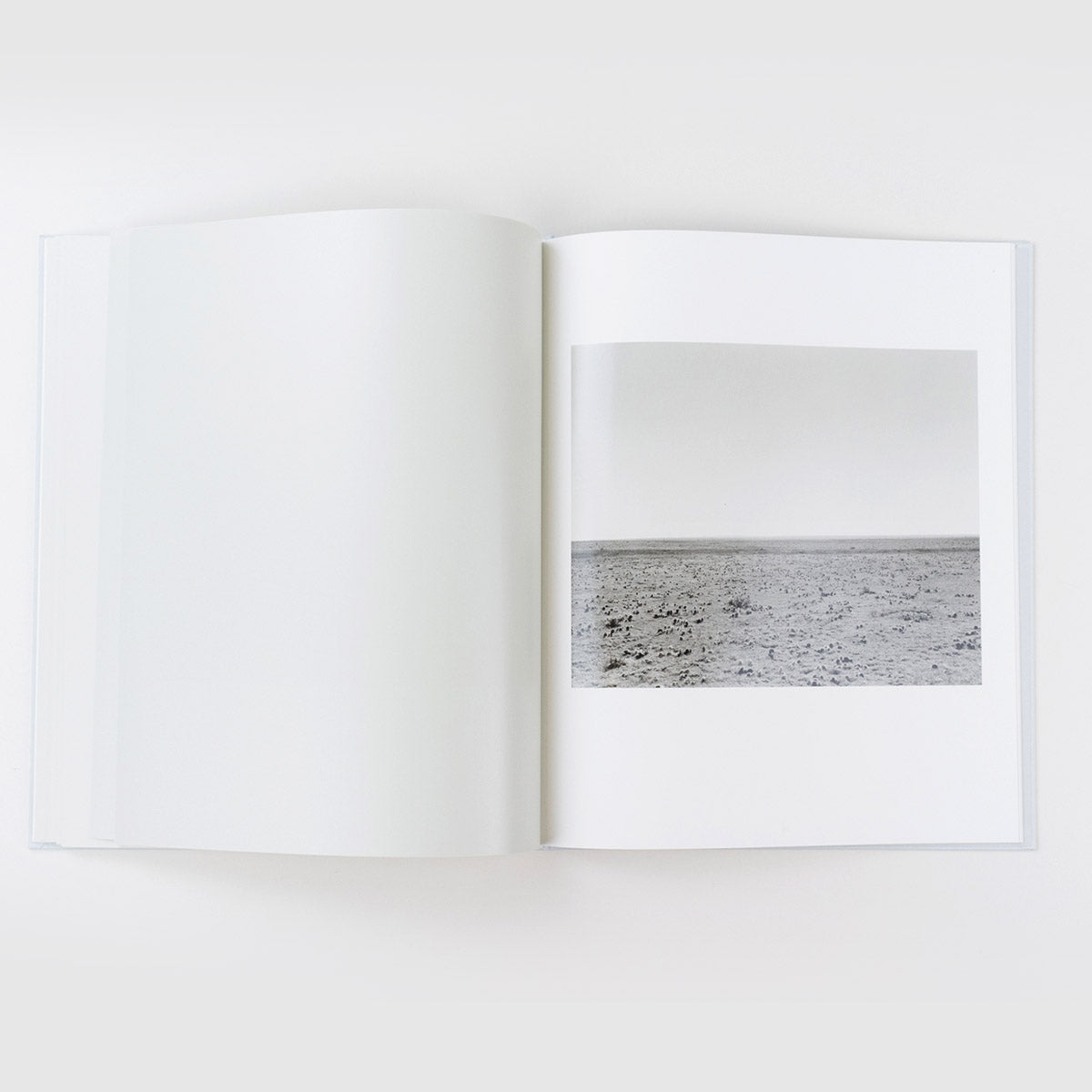 Perfect Places, Perfect Company