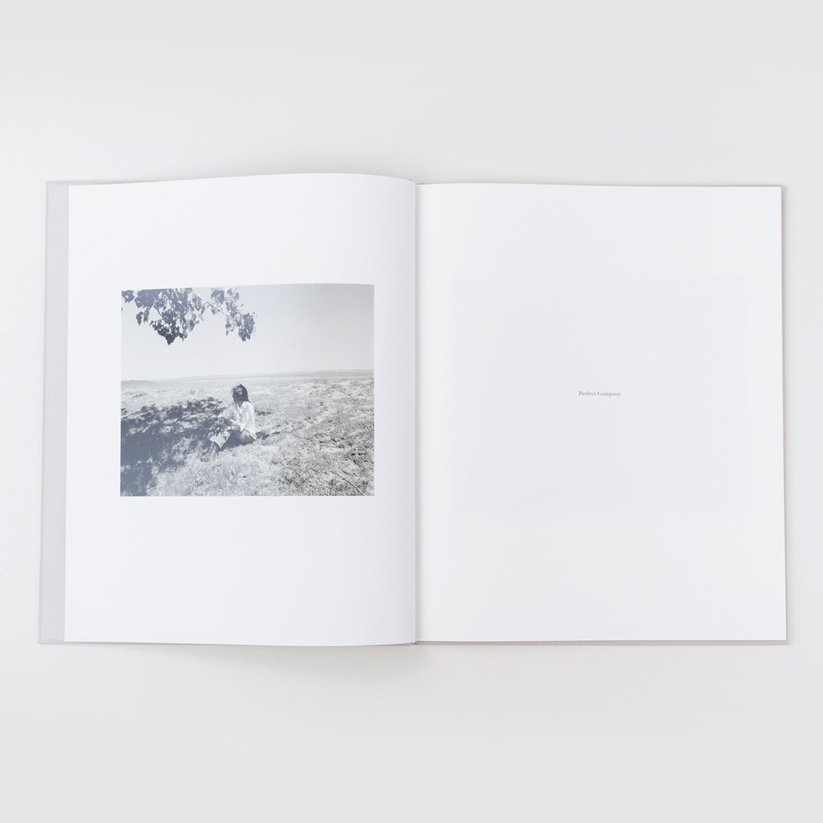 Perfect Places, Perfect Company