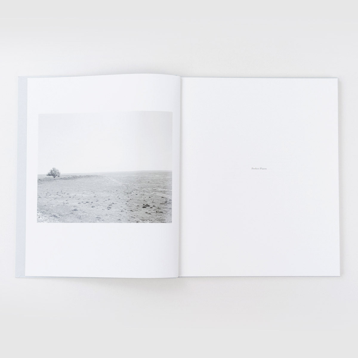 Perfect Places, Perfect Company