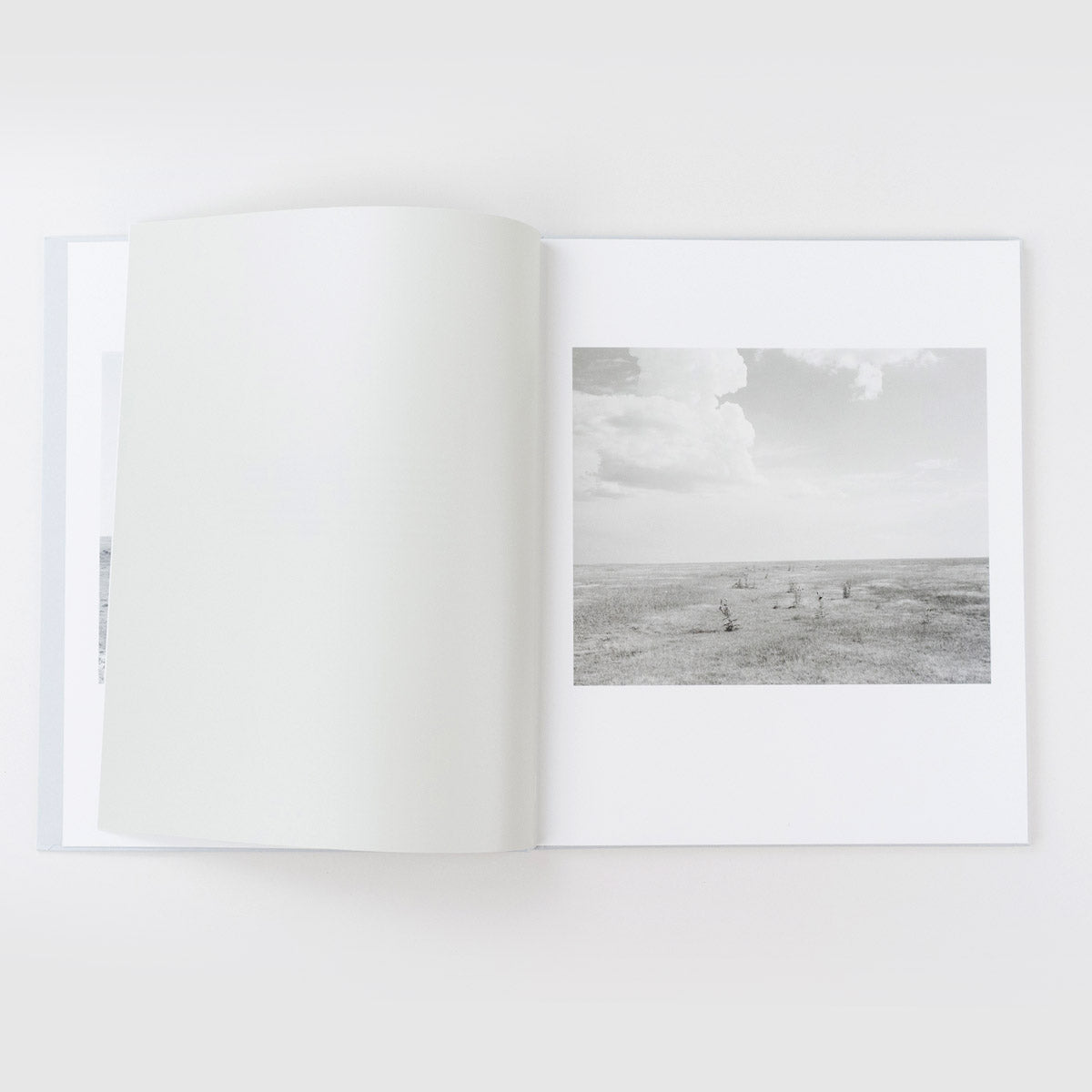 Perfect Places, Perfect Company