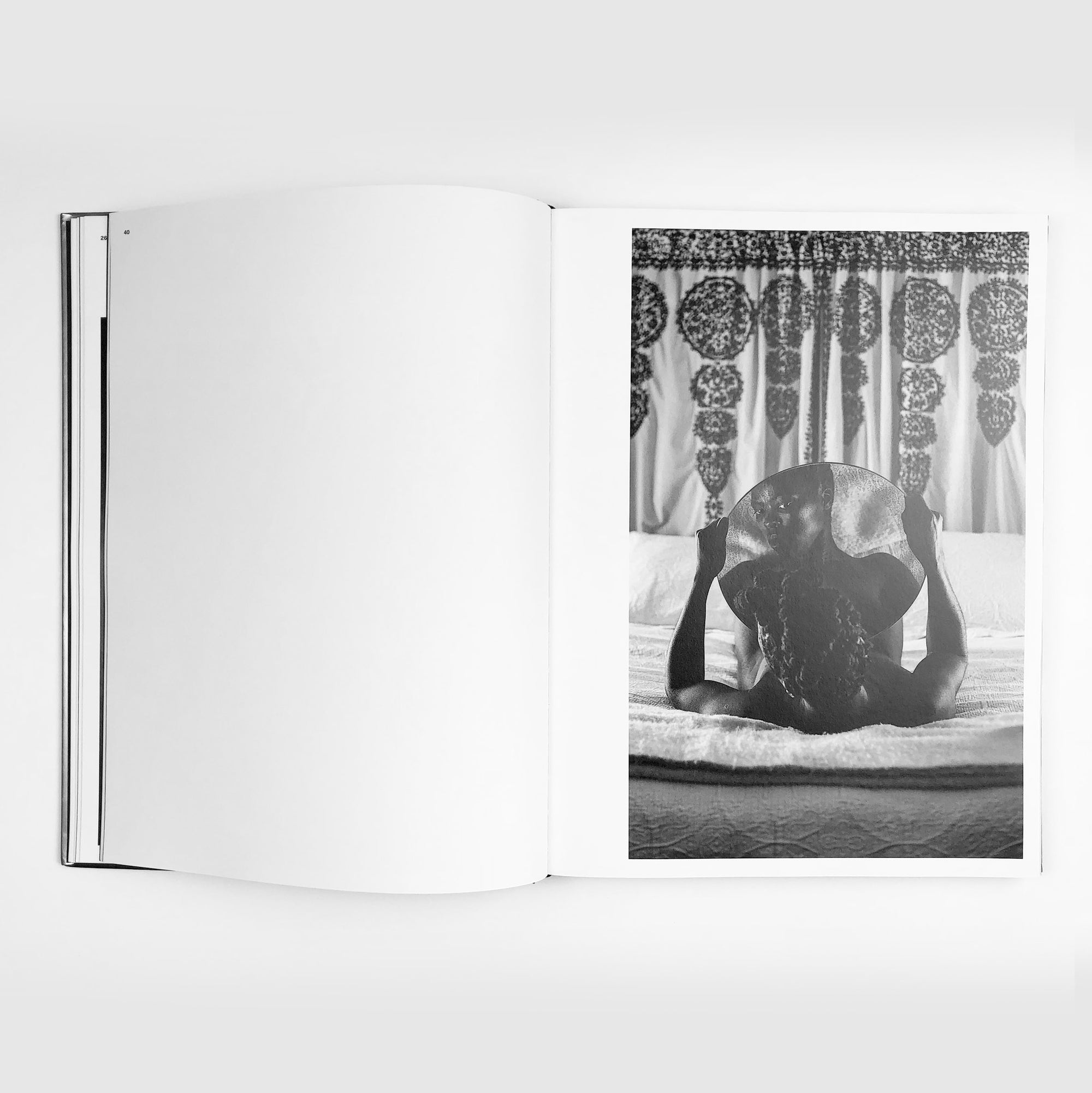 Somnyama Ngonyama, Hail the Dark Lioness