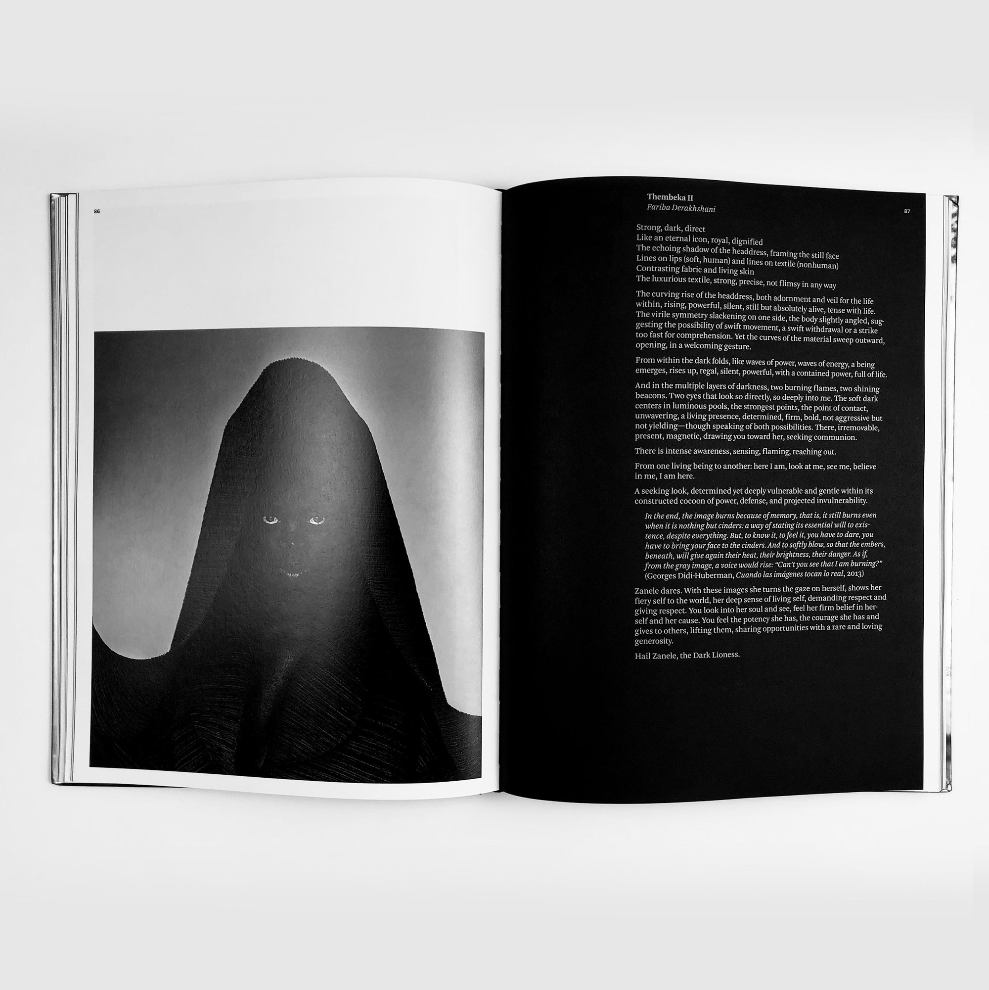 Somnyama Ngonyama, Hail the Dark Lioness