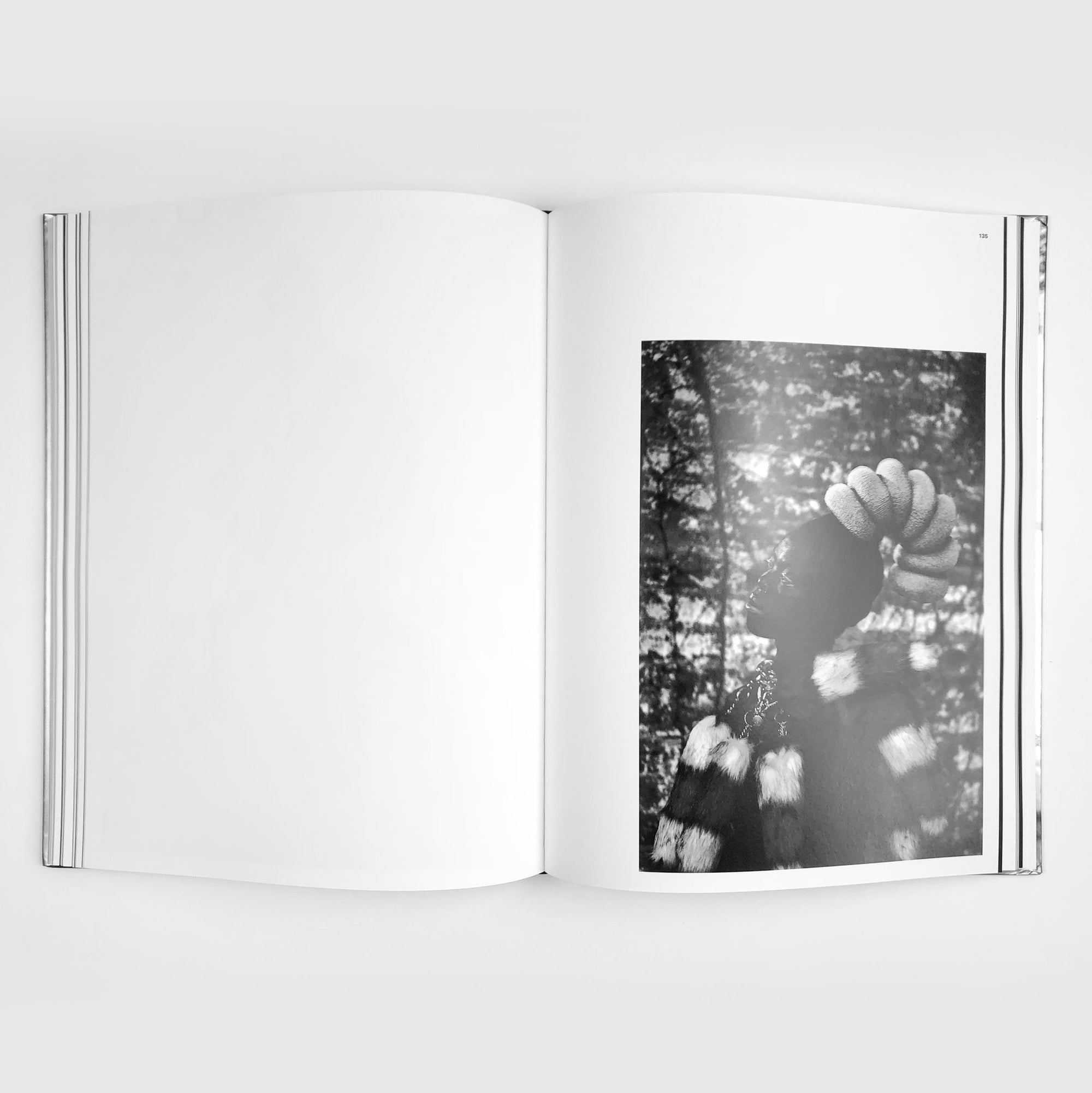 Somnyama Ngonyama, Hail the Dark Lioness