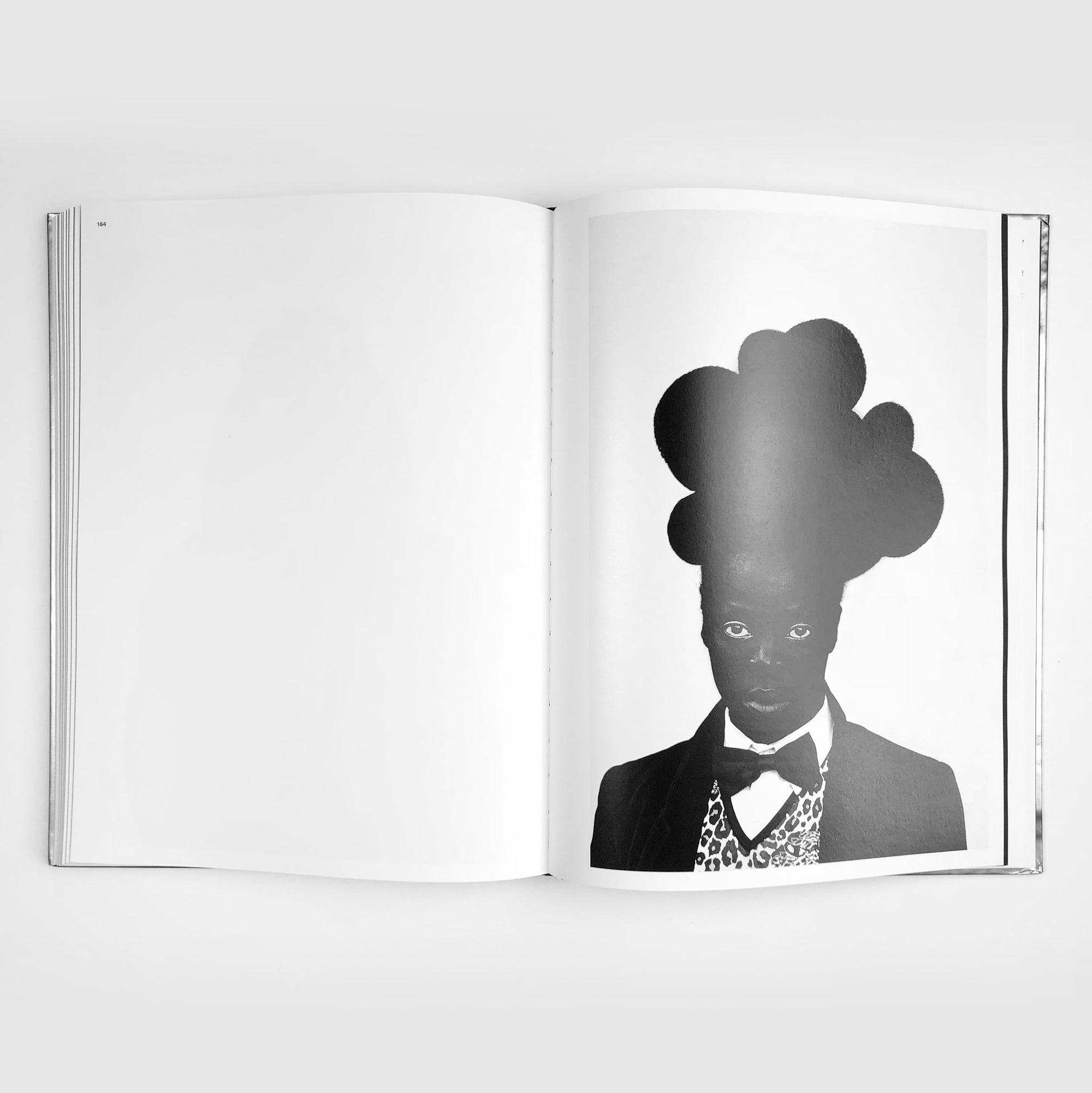 Somnyama Ngonyama, Hail the Dark Lioness