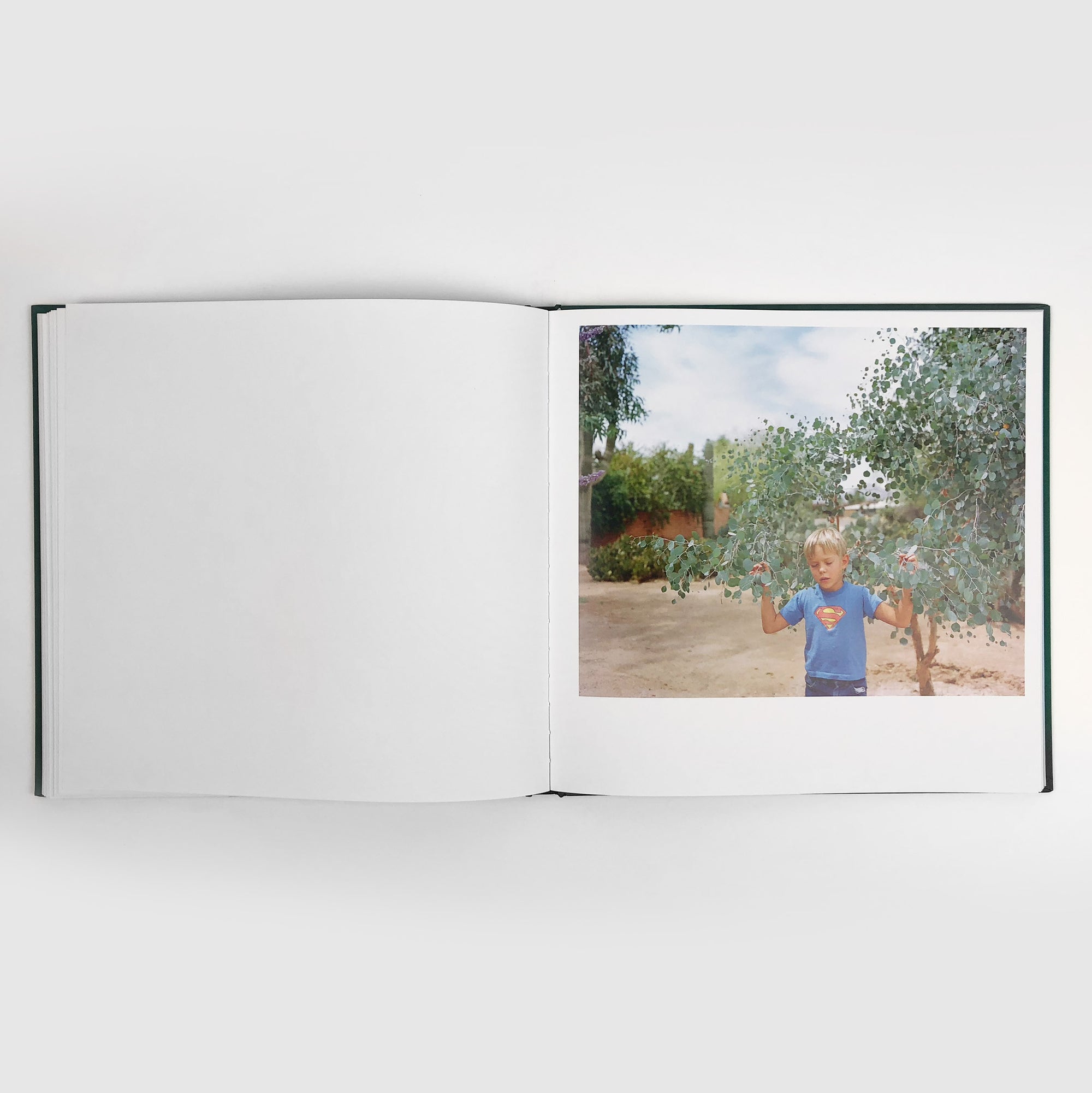 Wood River Blue Pool