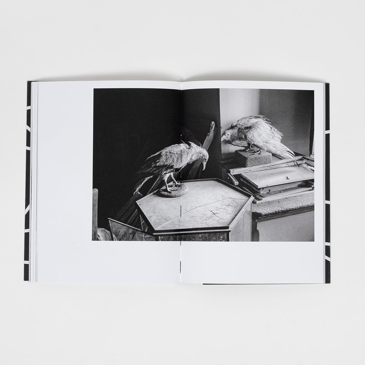 2001-2007 | Lack & Longing